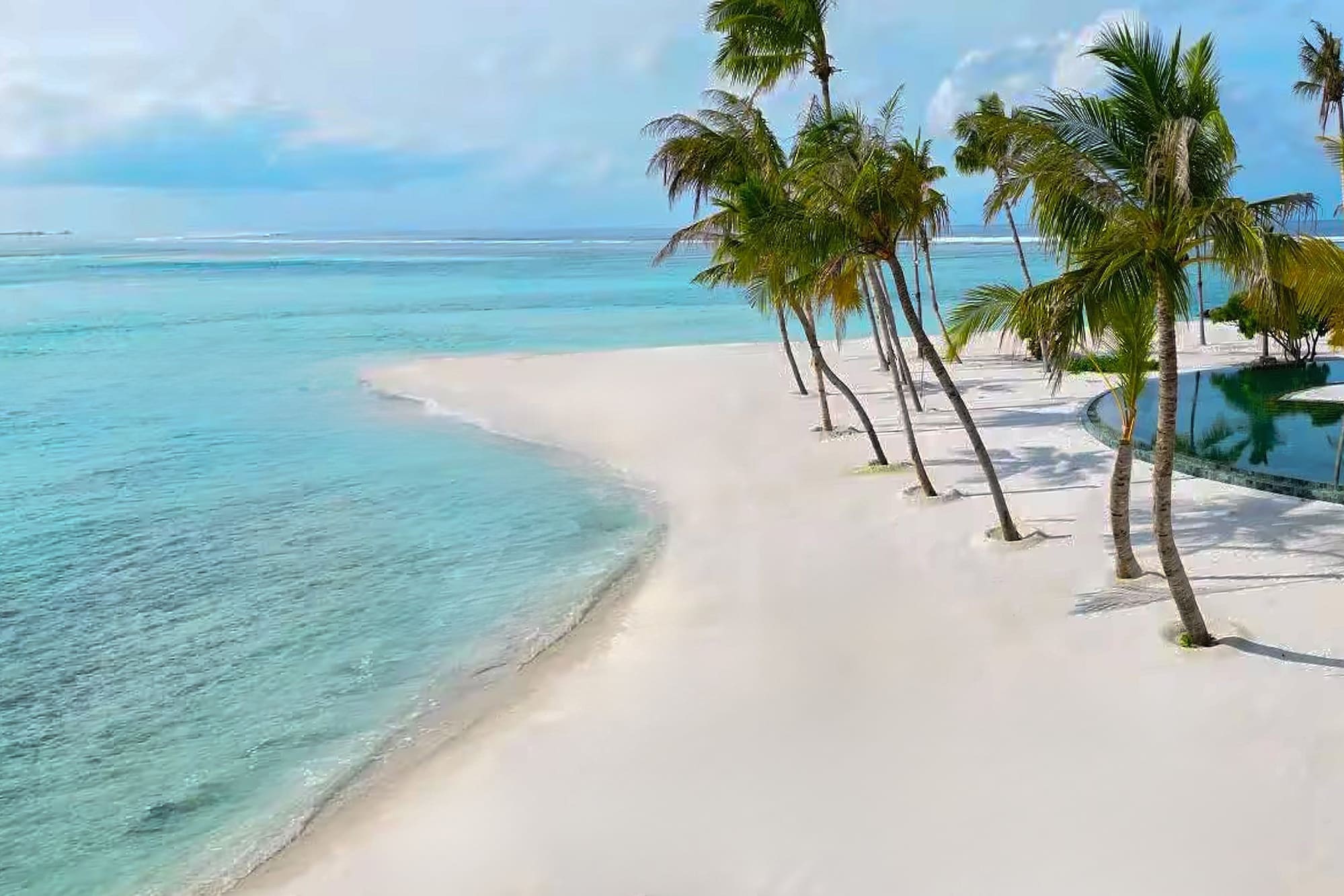 a beach with palm trees and a body of water