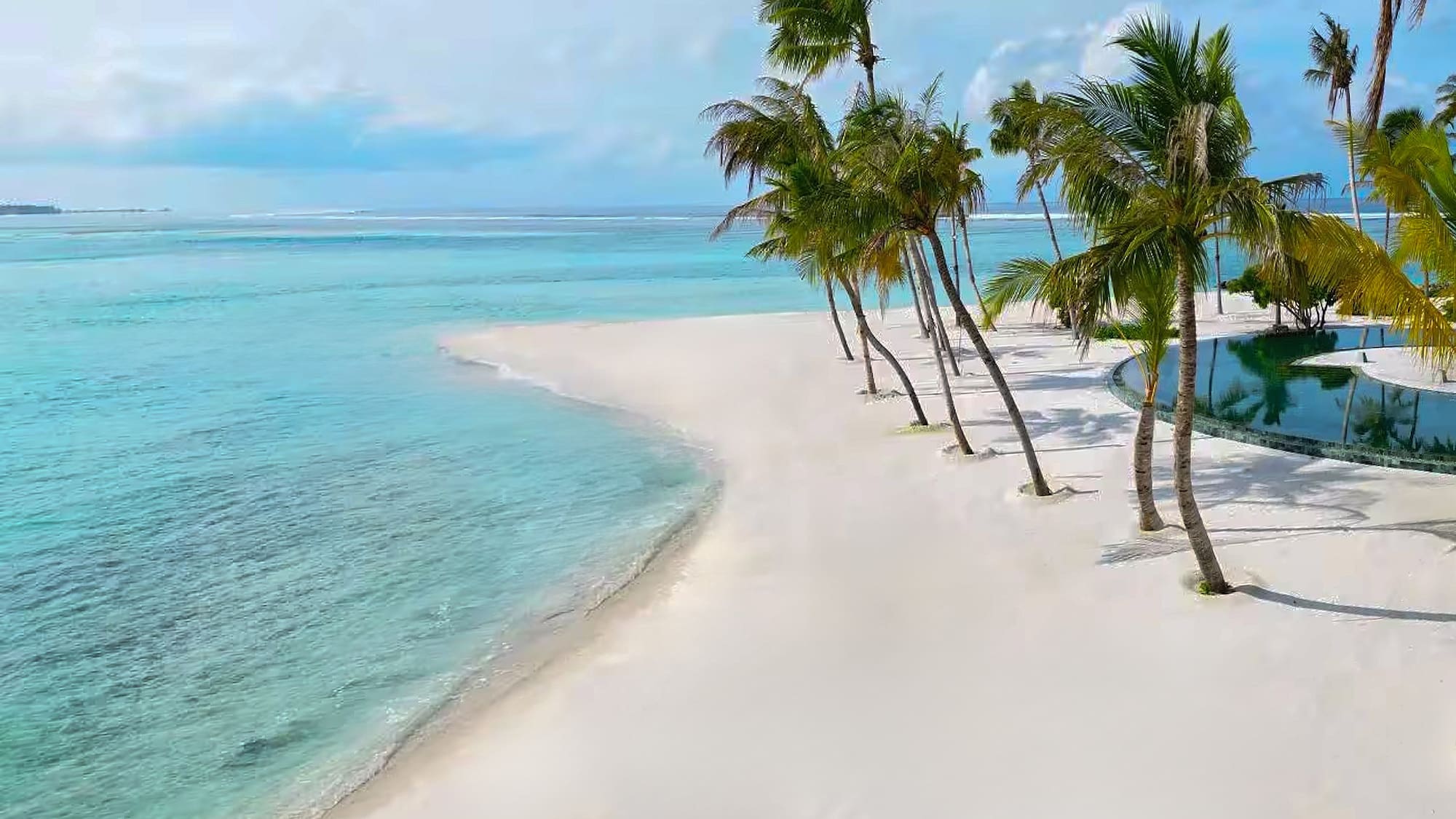 a beach with palm trees and a body of water