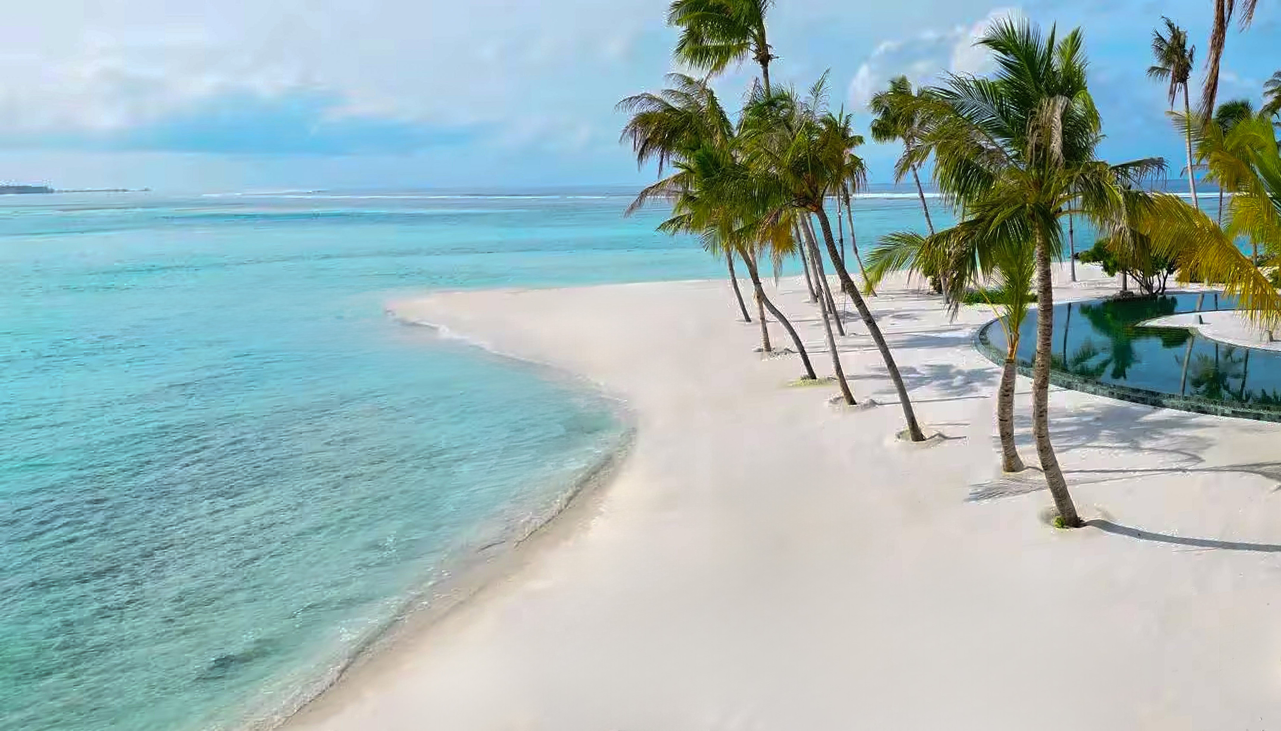 a beach with palm trees and a body of water