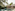 Luxury resort pool with palm trees, lounge chairs, umbrellas, and poolside bar.