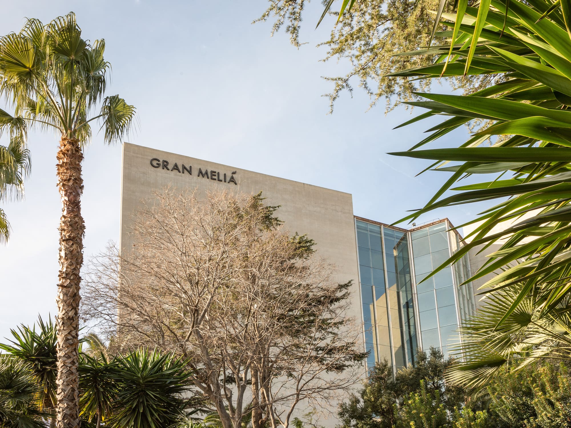 Gran Meliá hotel building, modern architecture, surrounded by tropical palm trees.