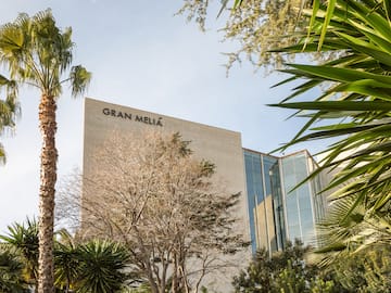 Gran Meliá hotel building with tall palm trees and modern glass facade.
