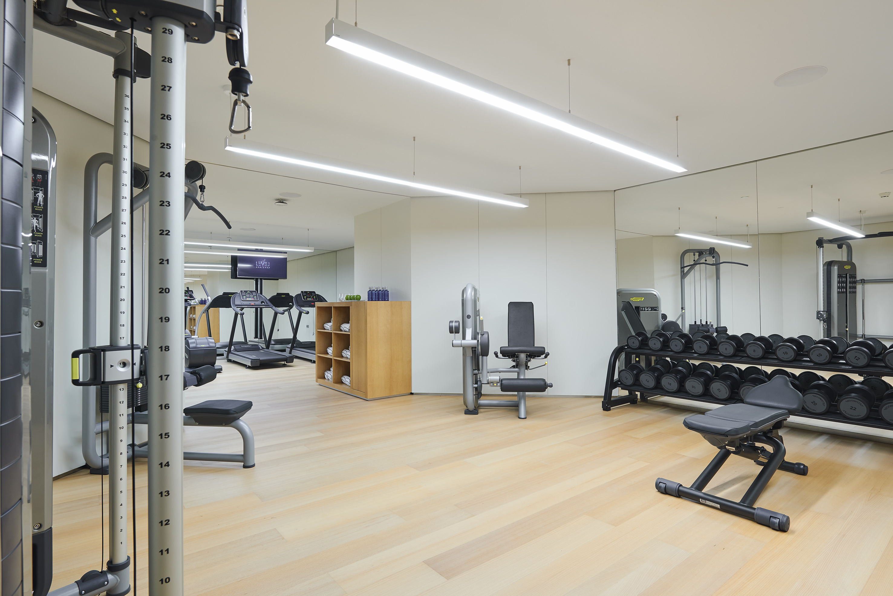 Well-equipped modern gym with weight racks, cardio, and bright lighting.