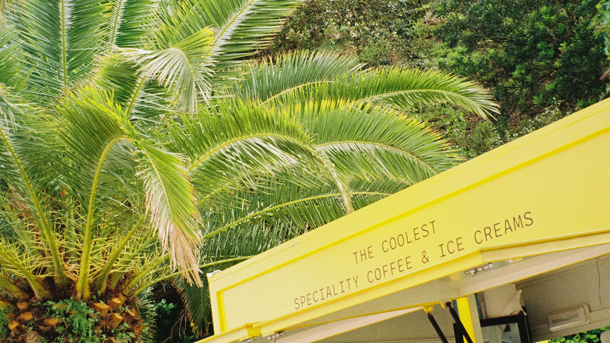 a yellow food truck with palm trees
