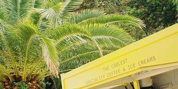 a yellow food truck with palm trees