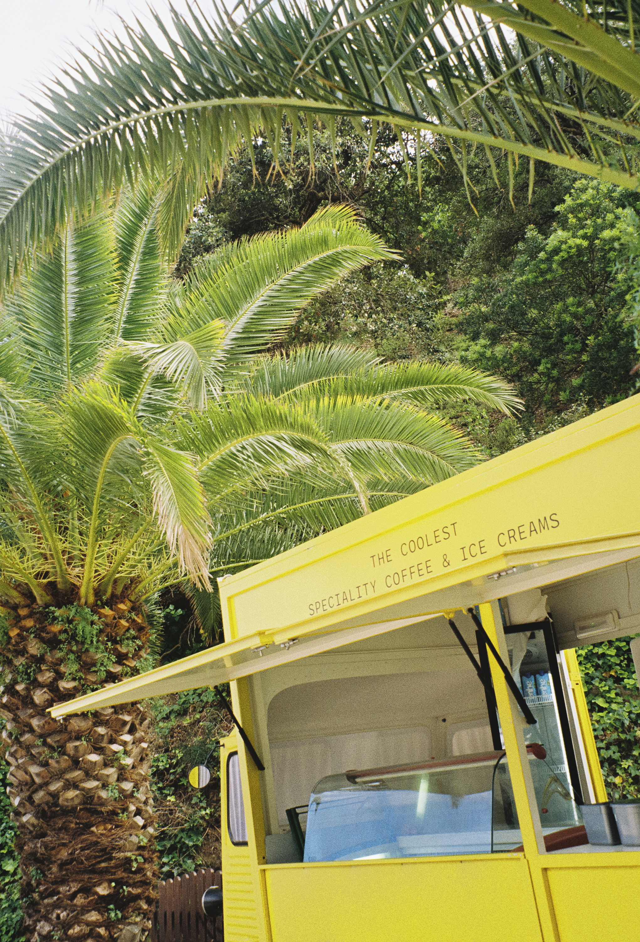 Yellow specialty coffee & ice cream truck under tropical palm trees.