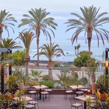 a patio with tables and chairs and palm trees