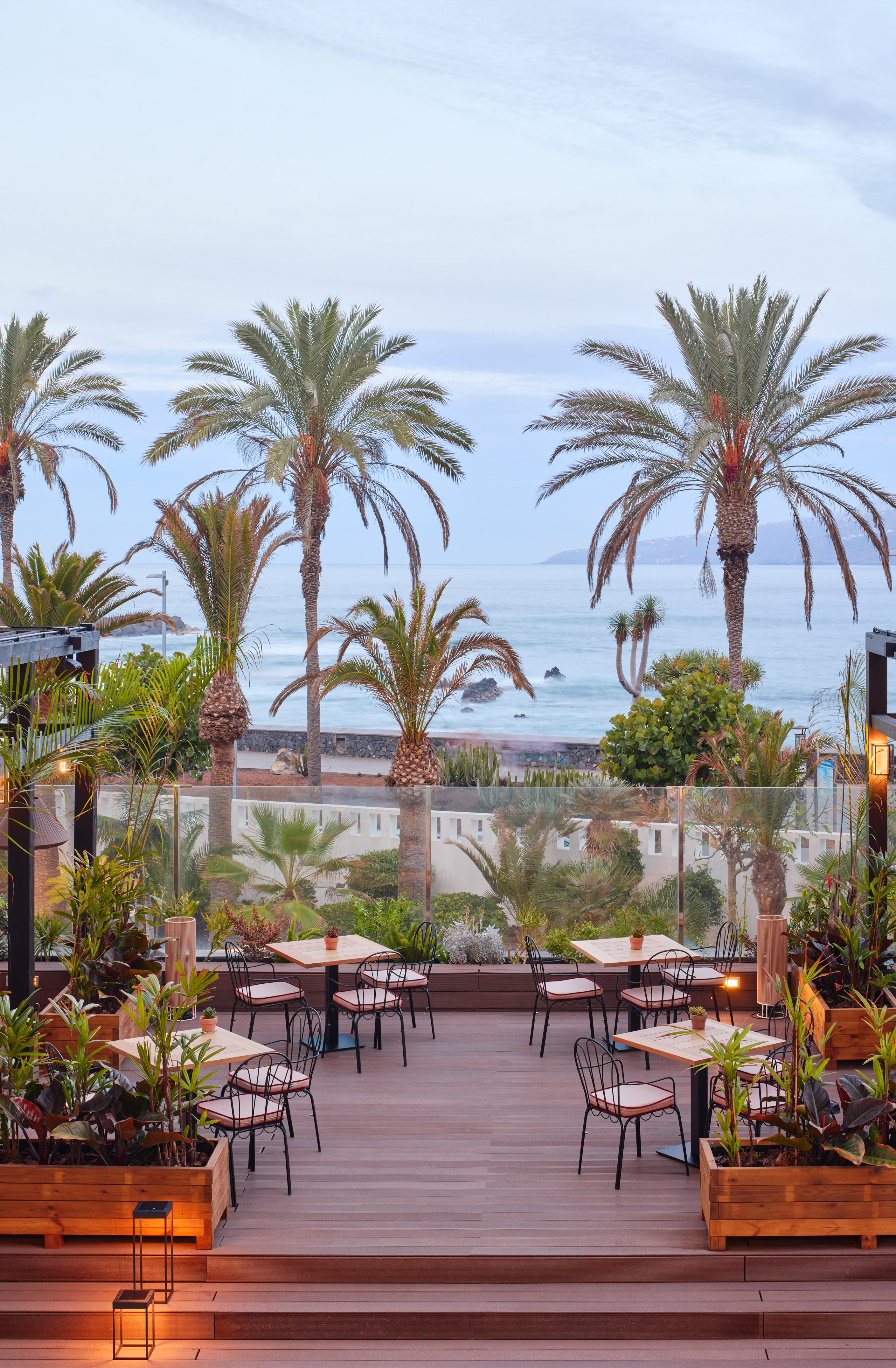 Oceanfront resort dining terrace with palm trees and outdoor seating.