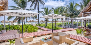 a beach with chairs and umbrellas
