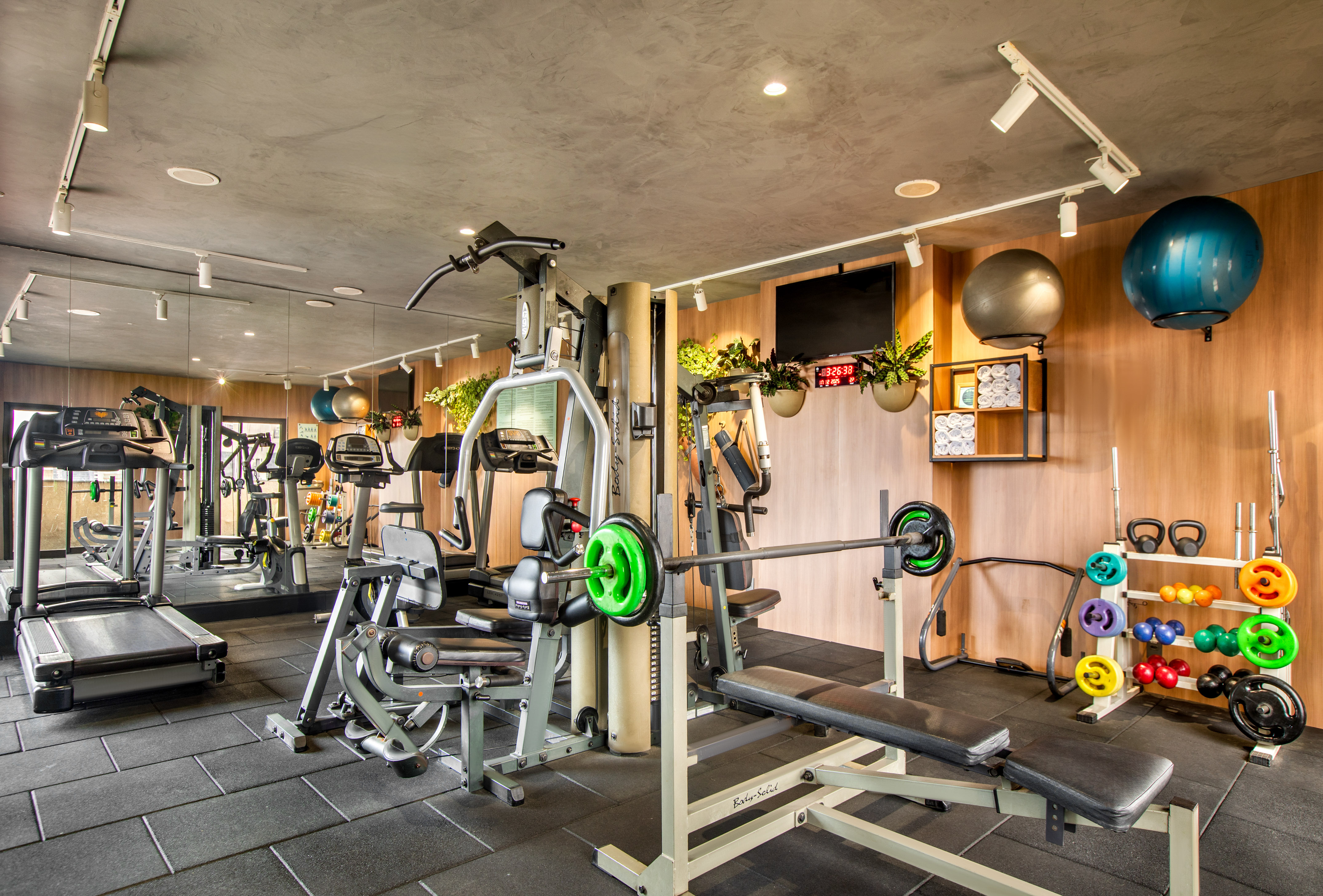 Well-appointed gym with cardio and weight training equipment, colorful weights.