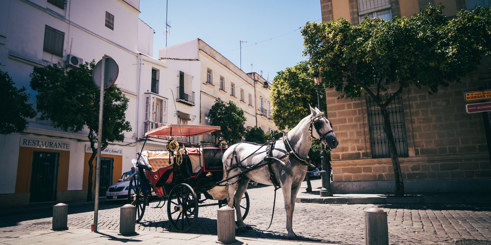 a horse drawn carriage on a street