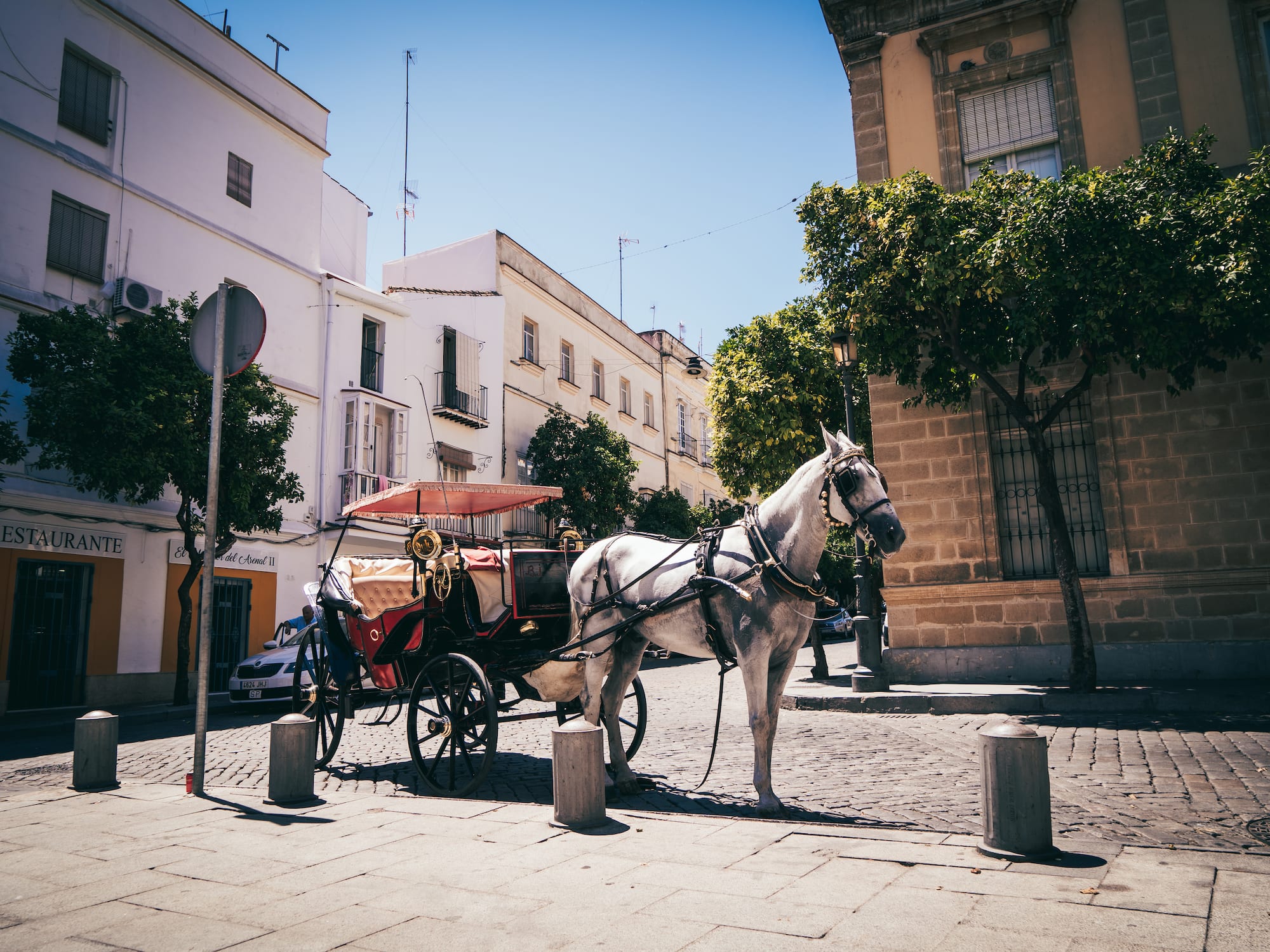 a horse drawn carriage on a street