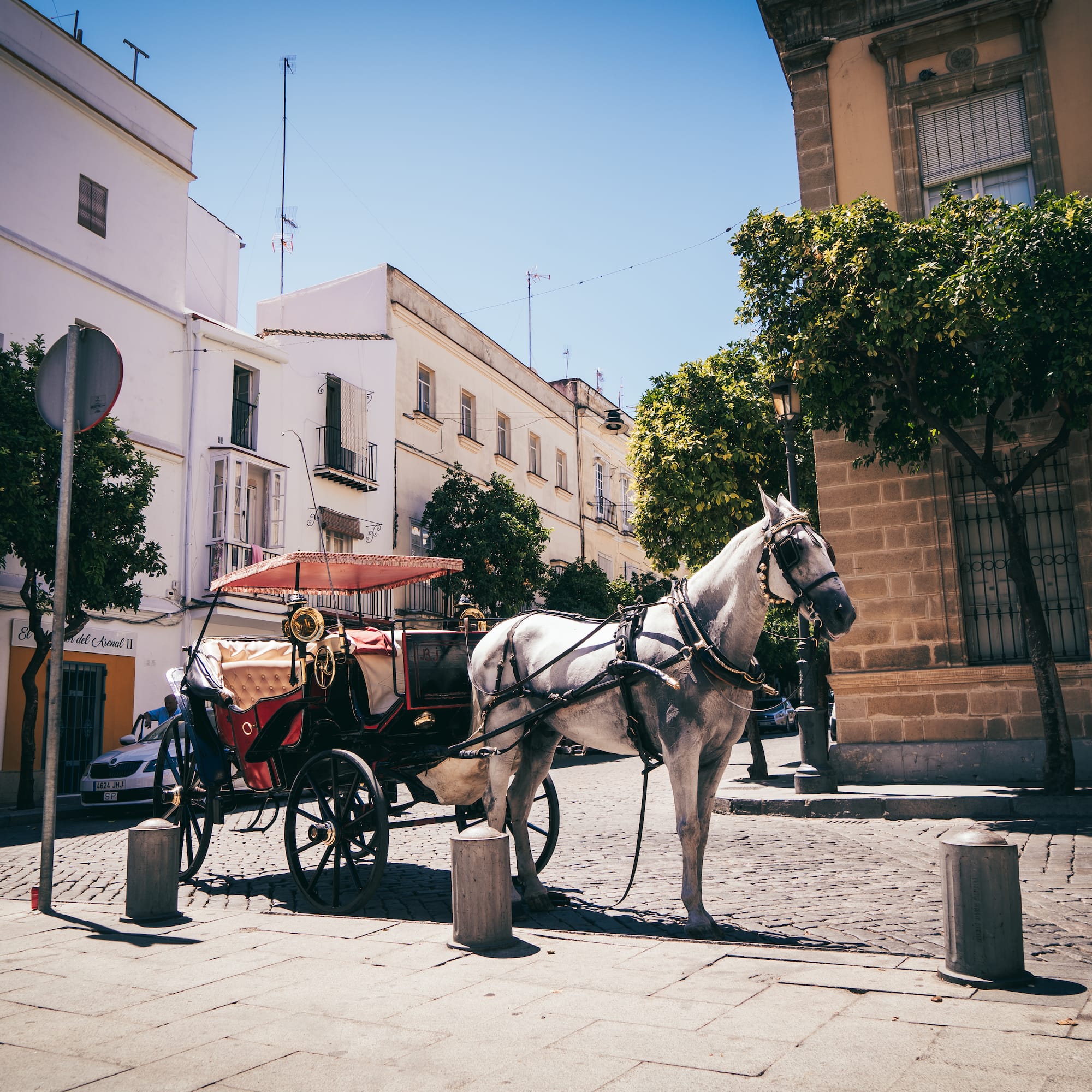 a horse drawn carriage on a street