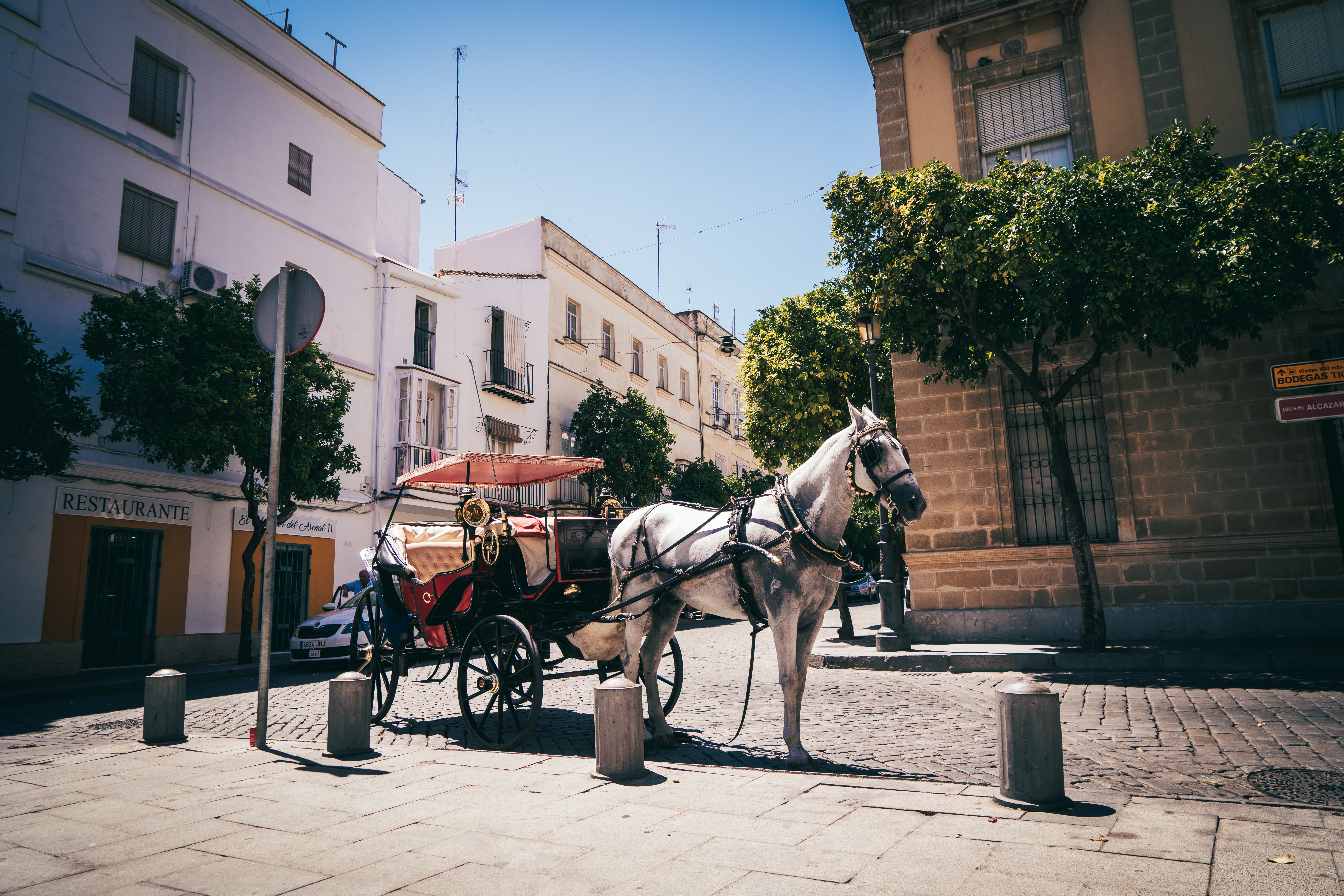 a horse drawn carriage on a street