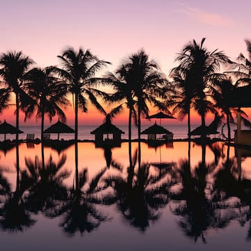 a pool with palm trees and a sunset