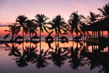 a pool with palm trees and a sunset