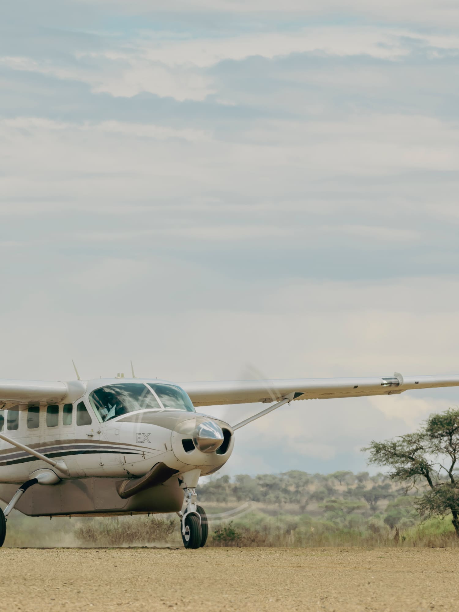 a plane on the ground