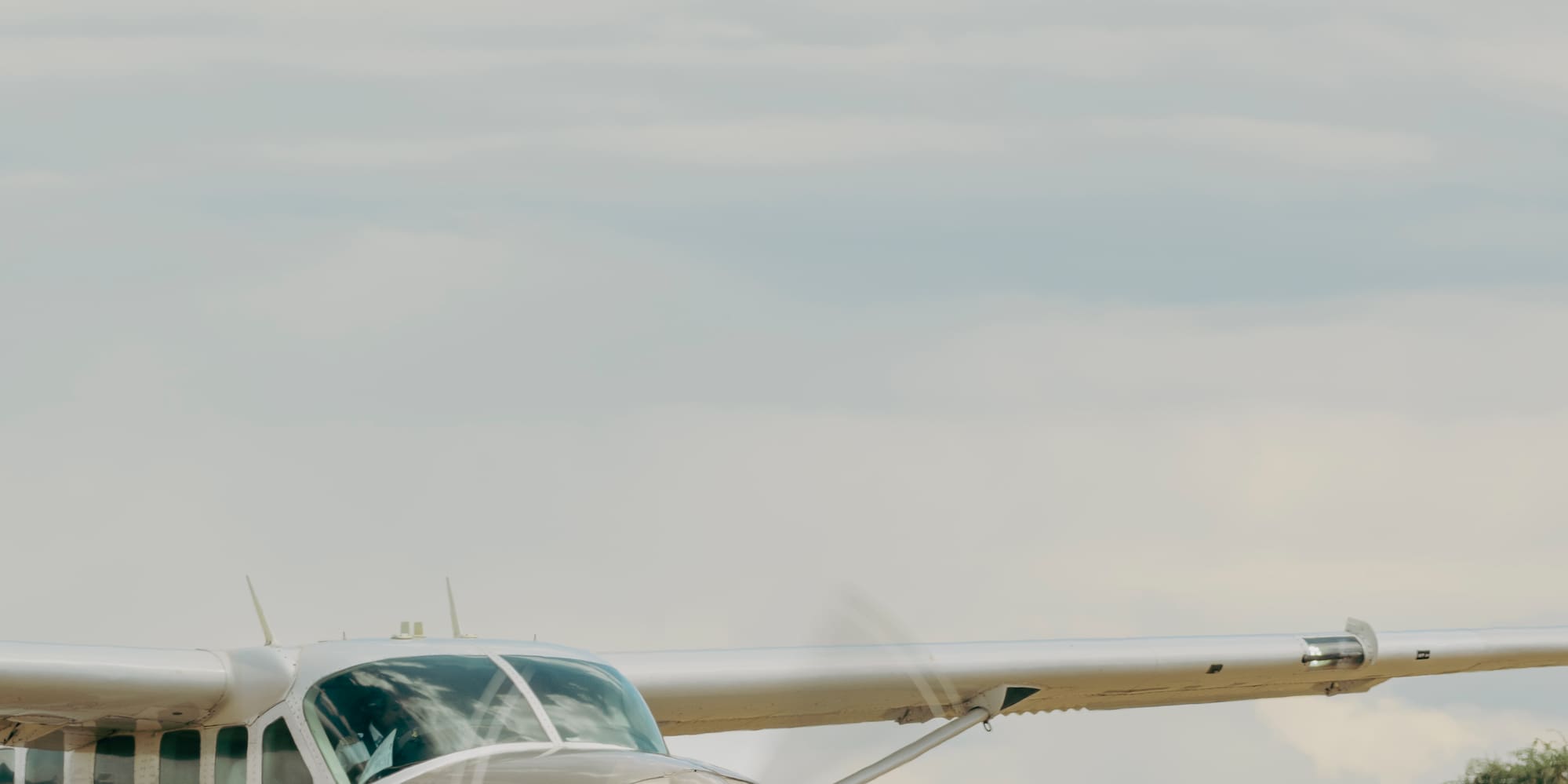 a plane on the ground