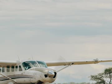 a plane on the ground