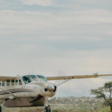 a plane on the ground