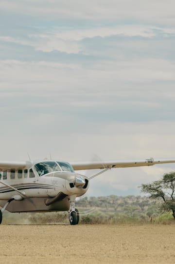 a plane on the ground