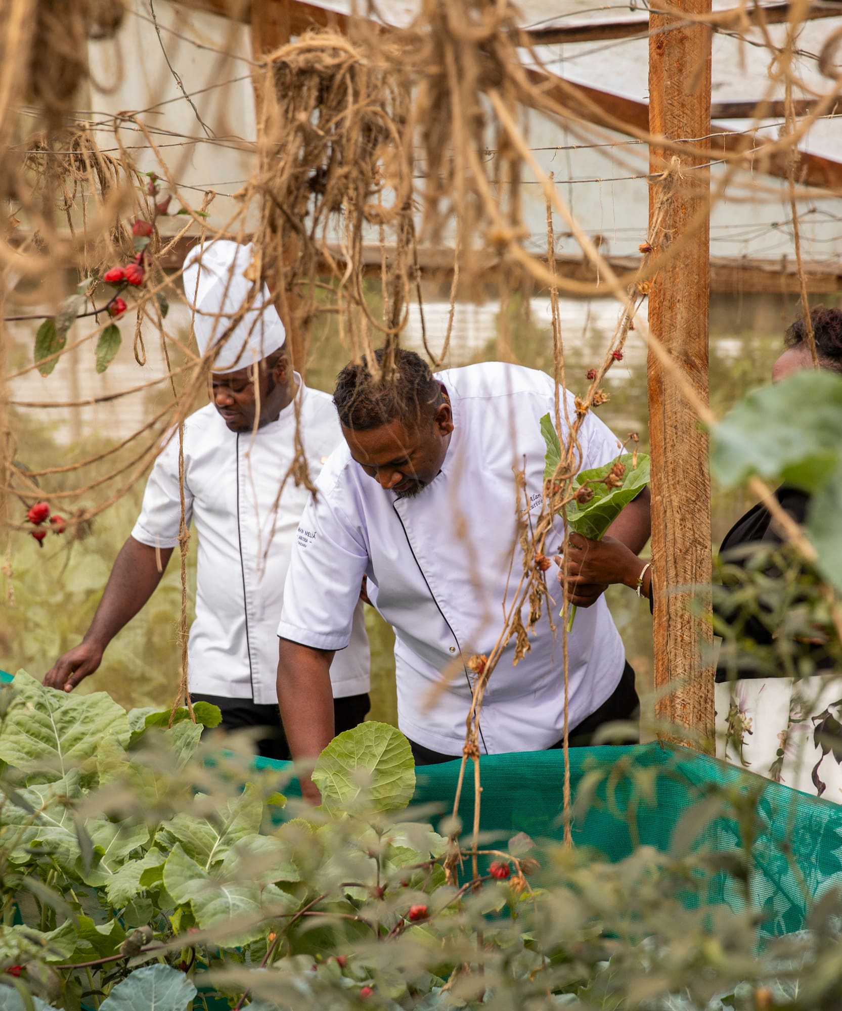 a group of people in a greenhouse