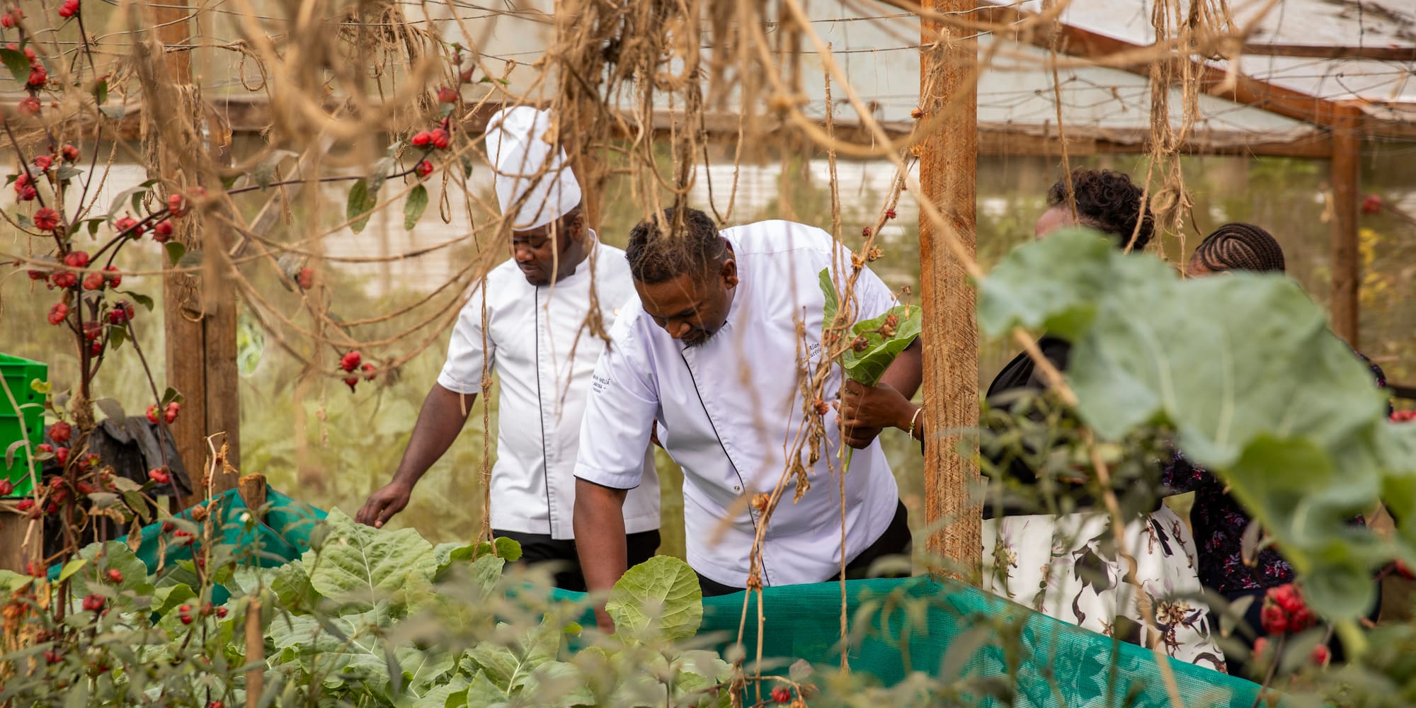 a group of people in a greenhouse