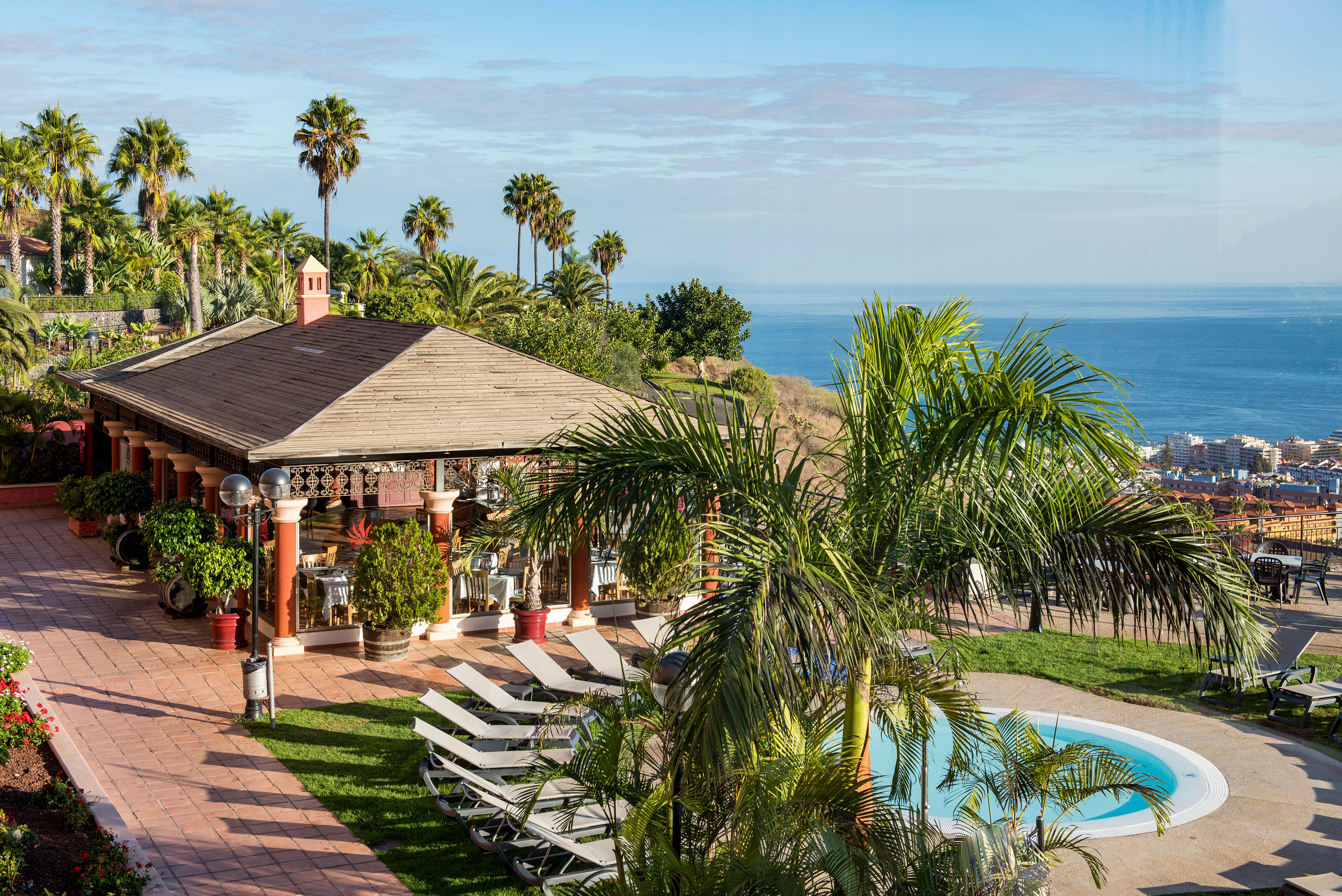 Tropical resort terrace with ocean view, pool, and palm trees.