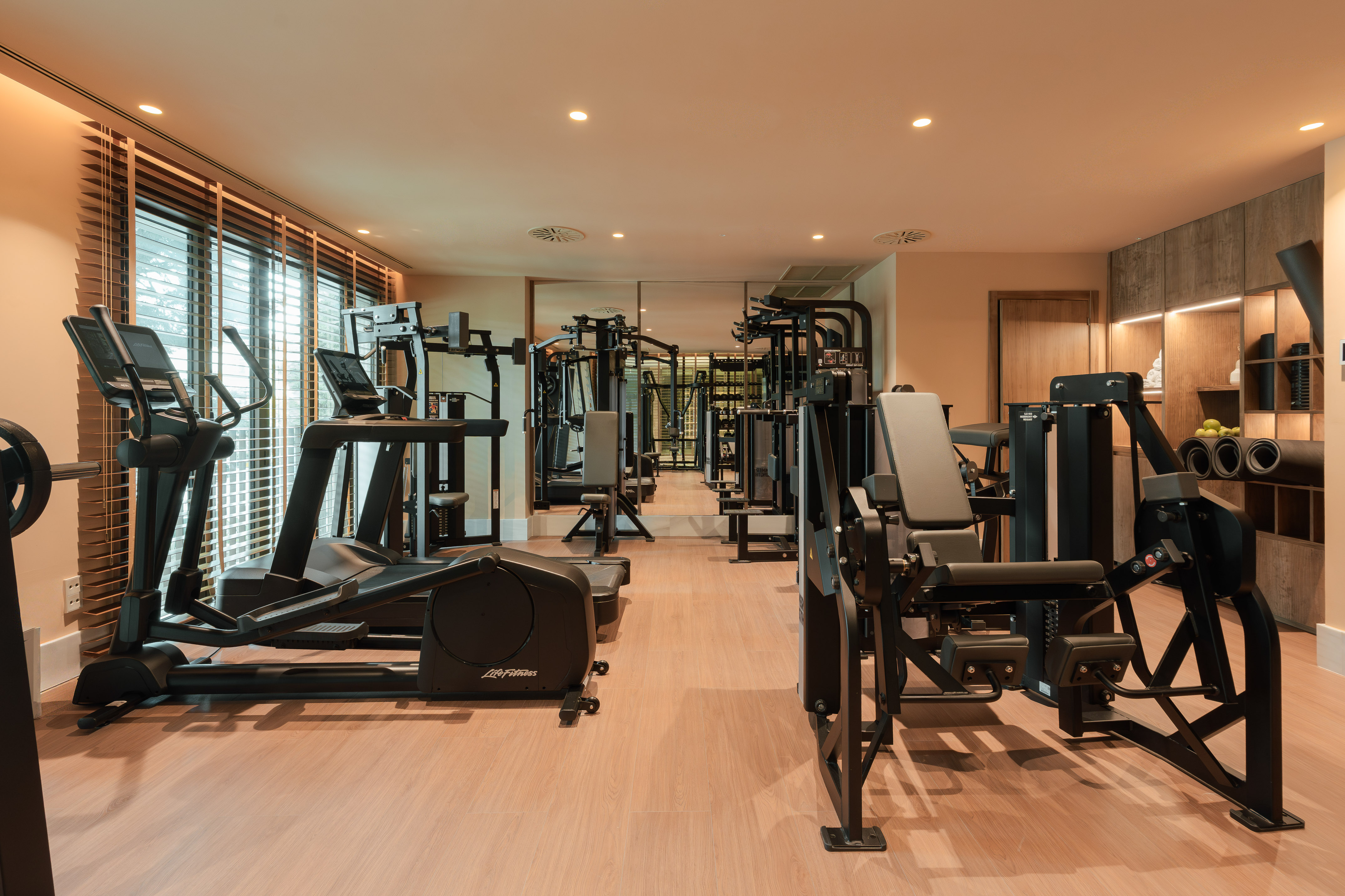 Modern gym with cardio and weight machines, wooden floor, and large windows.