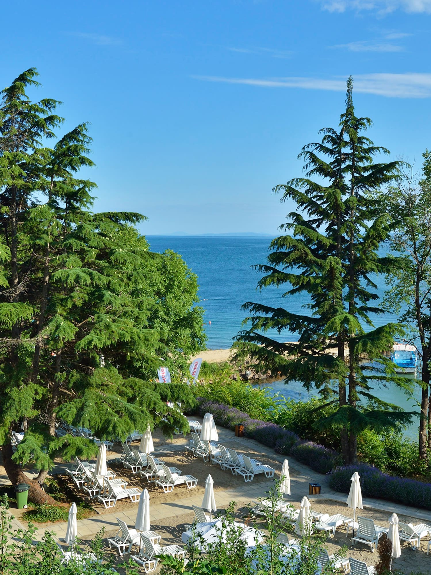 a beach with chairs and umbrellas and trees