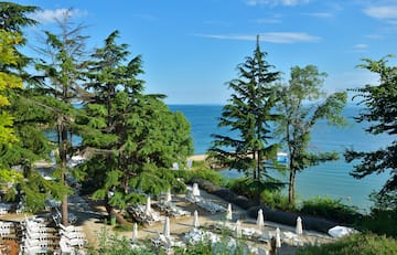 a beach with chairs and umbrellas and trees