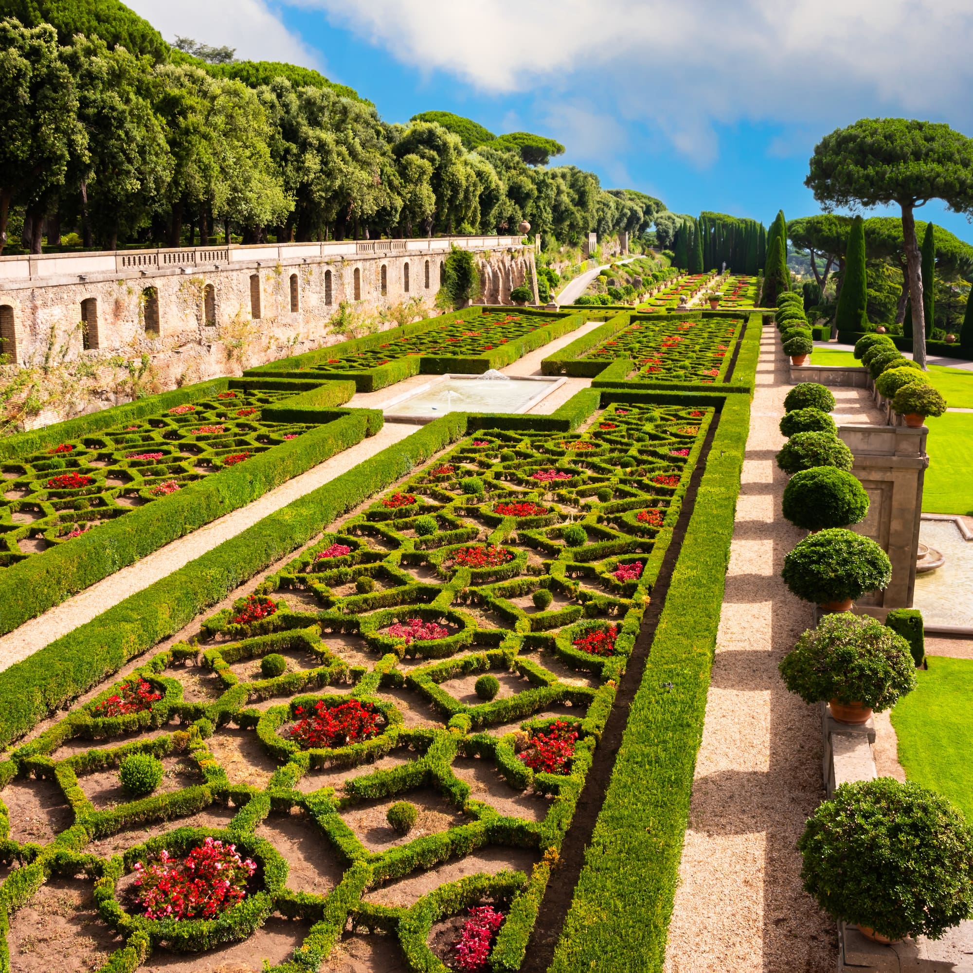 a garden with hedges and bushes