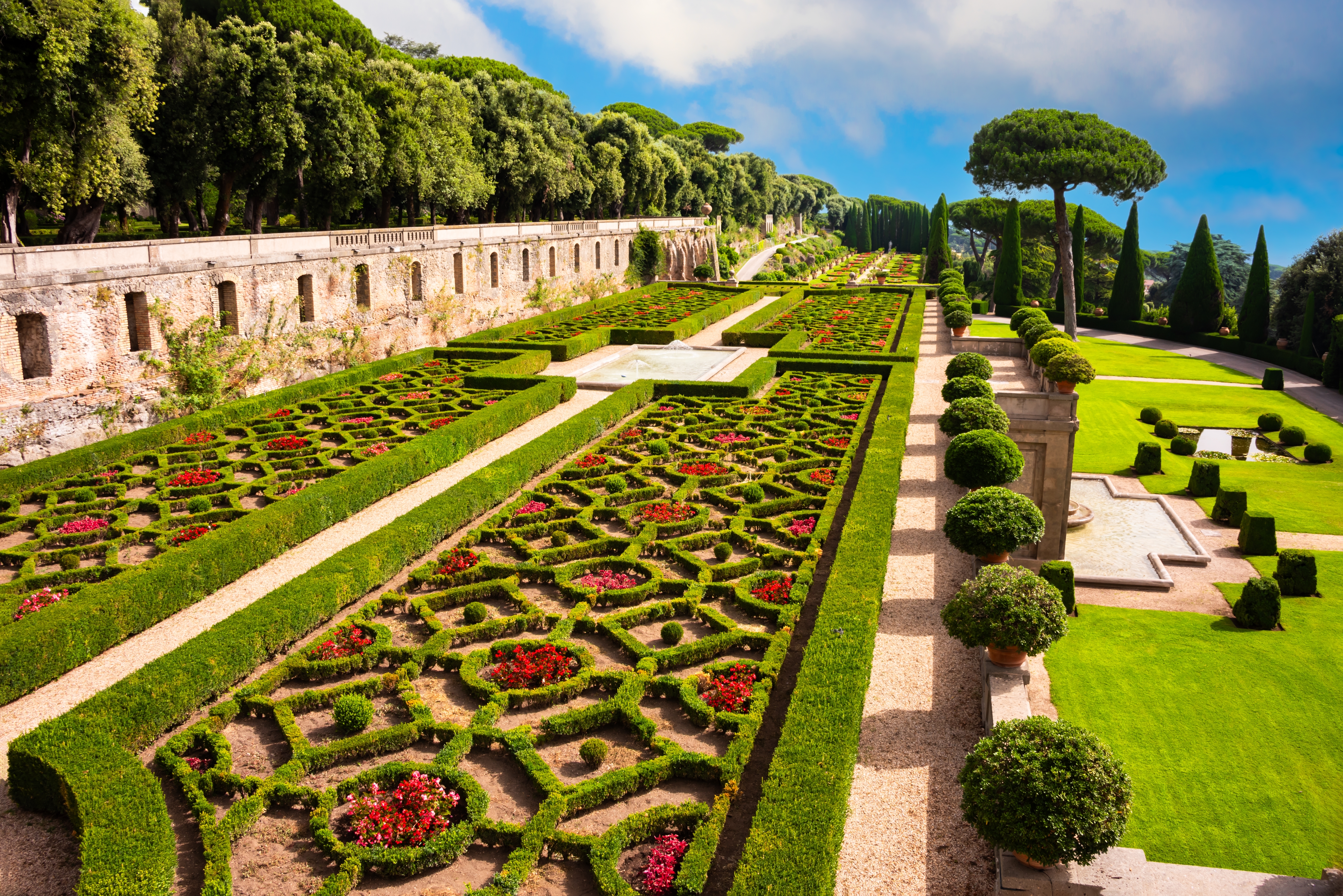 a garden with hedges and bushes