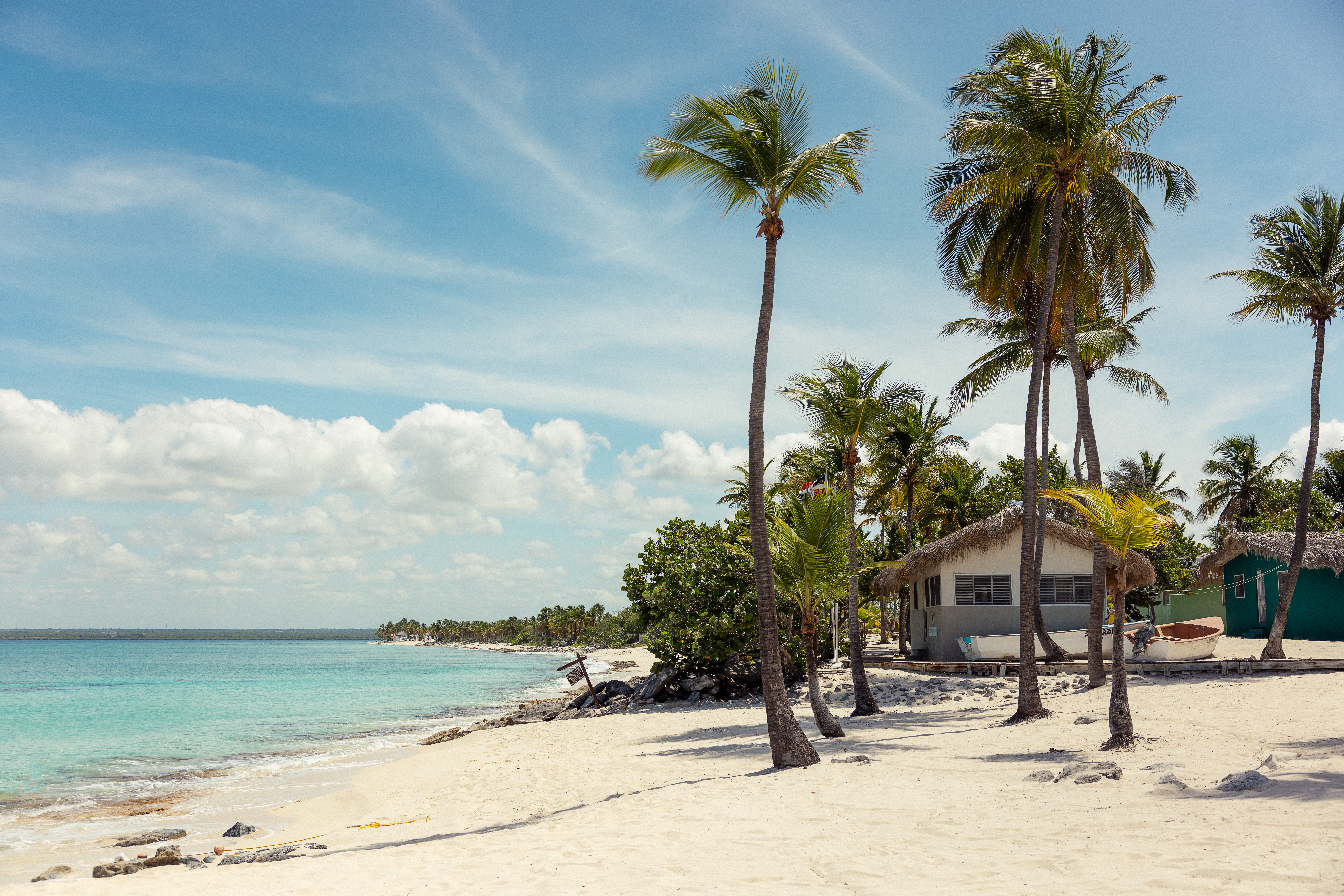 a house on a beach with palm trees