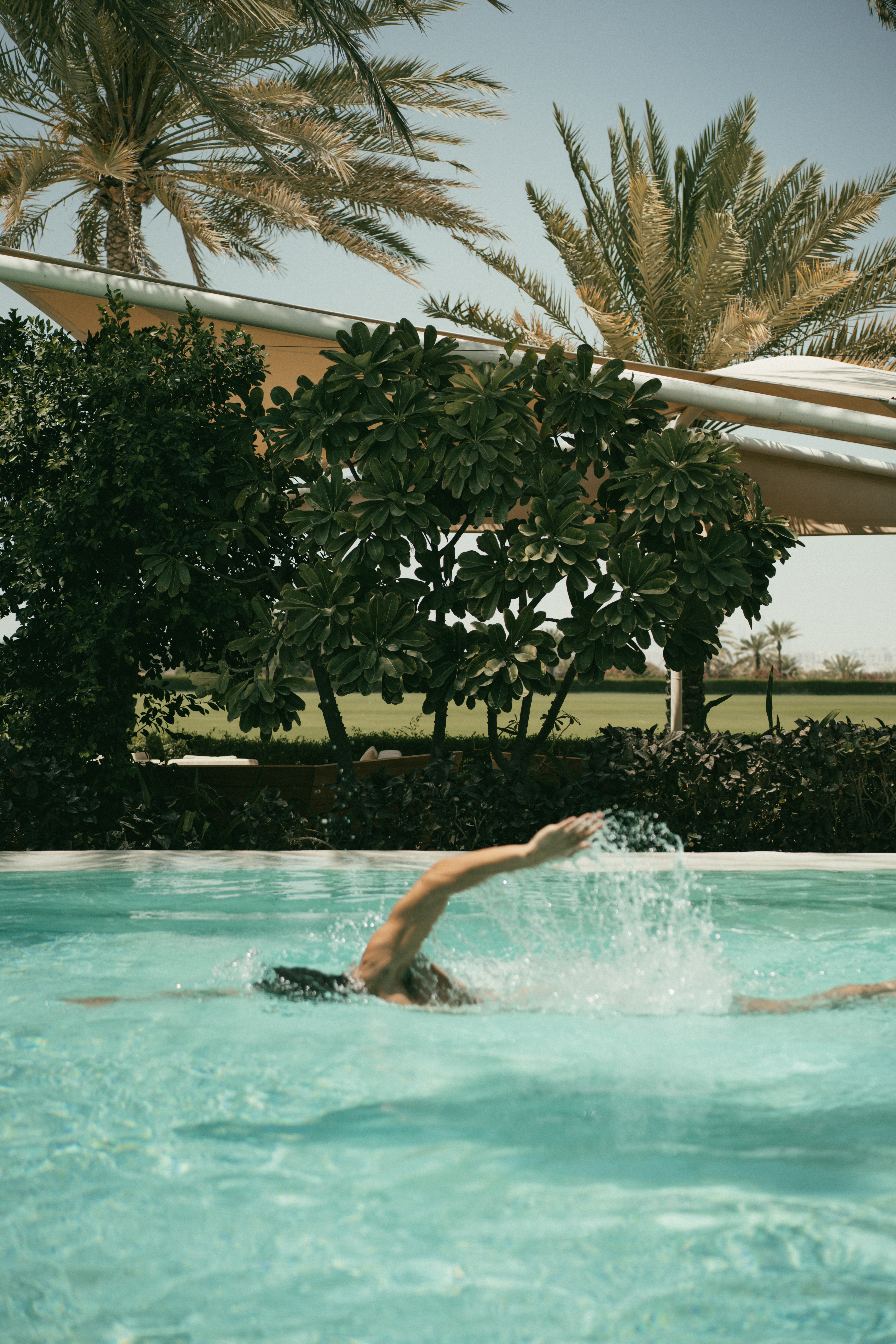 Person swimming in bright blue pool, tropical palm trees, resort setting.