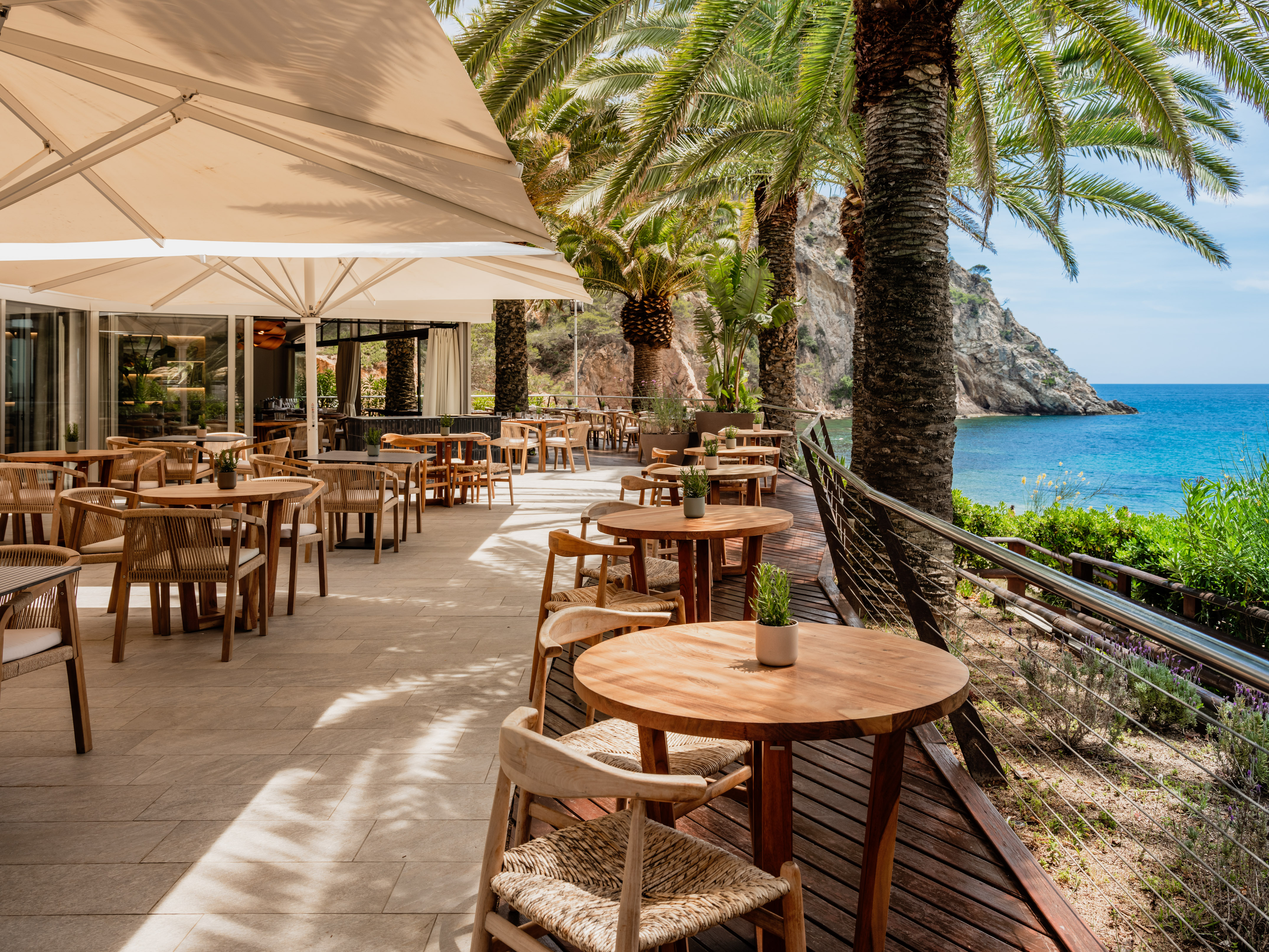 Sunny seaside restaurant terrace with palm trees, overlooking the blue sea.