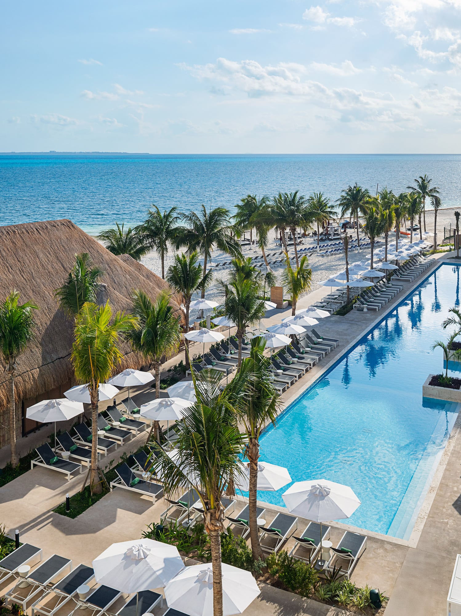 a swimming pool with palm trees and a building with a thatched roof