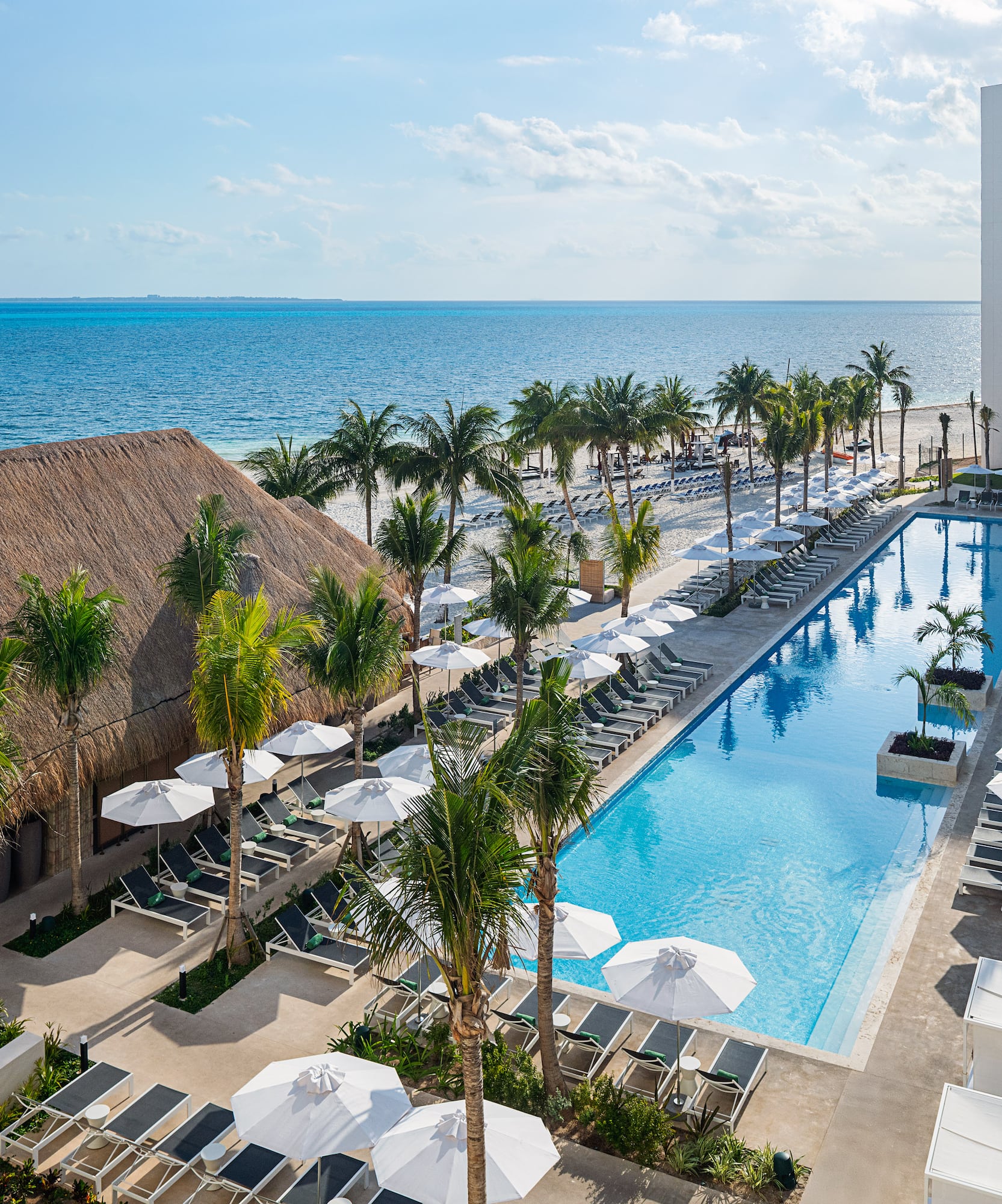 a swimming pool with palm trees and a building with a thatched roof