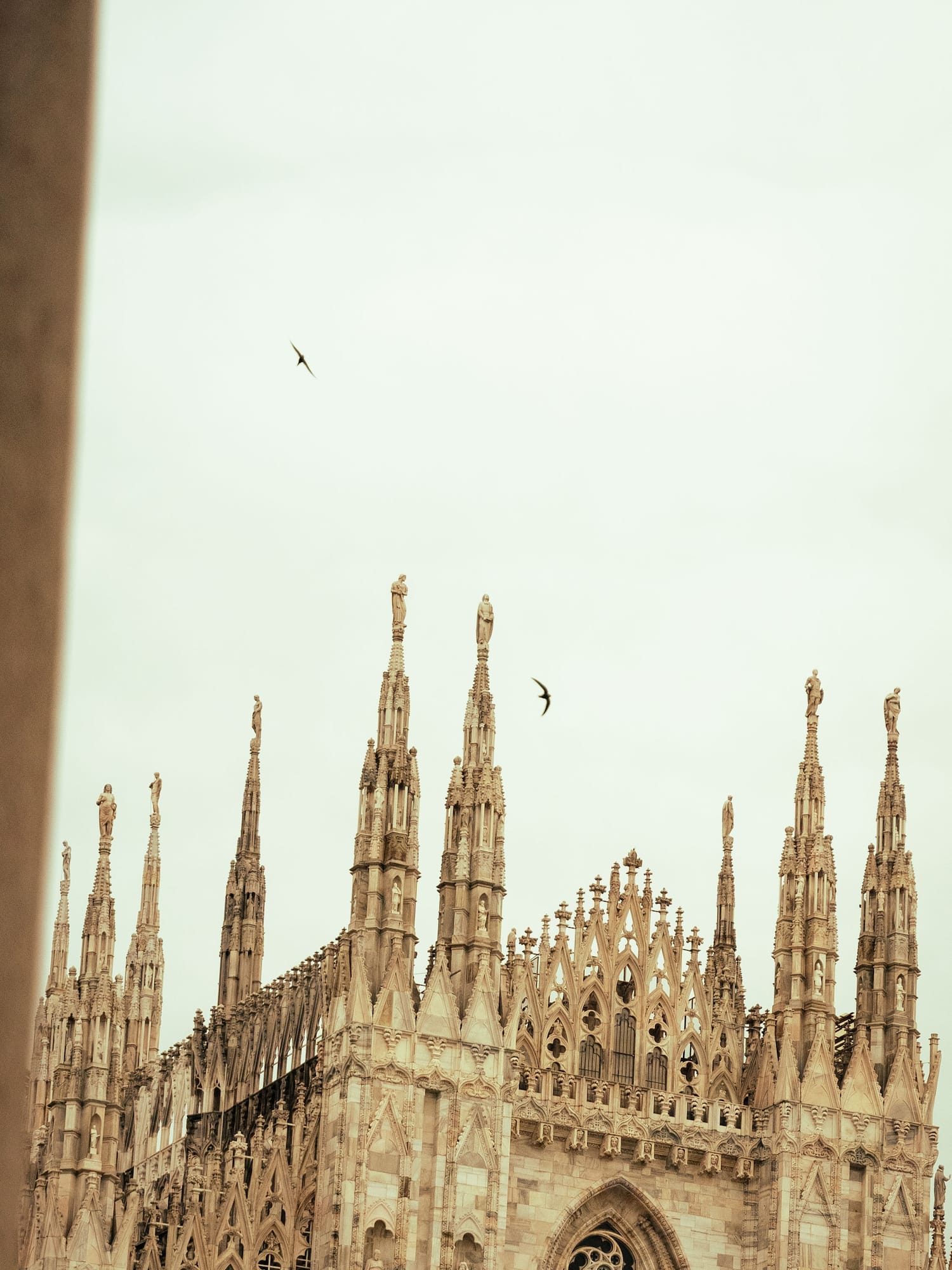 a bird flying over a building