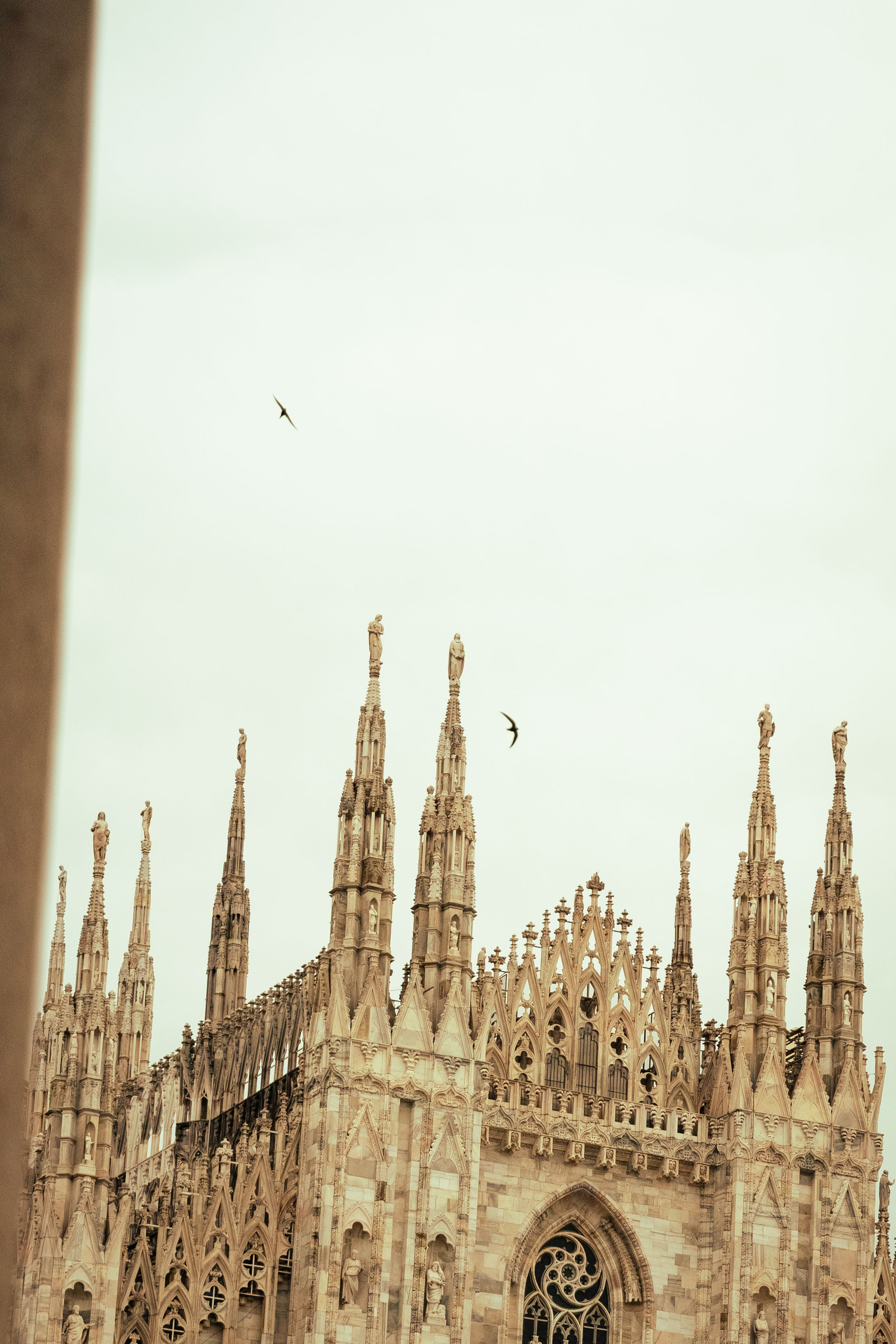 a bird flying over a building