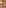 Two romantic charcuterie boards: cheese, fruit, meats, nuts, wine, red rose.