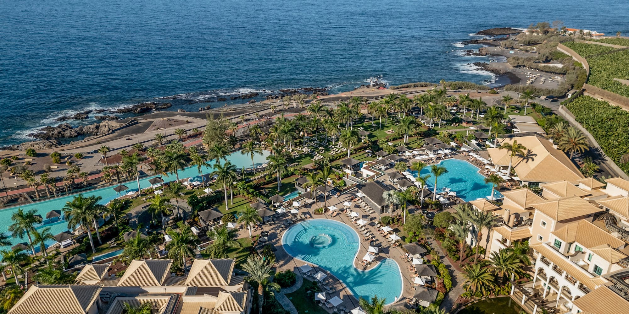 a resort with a pool and palm trees by the ocean