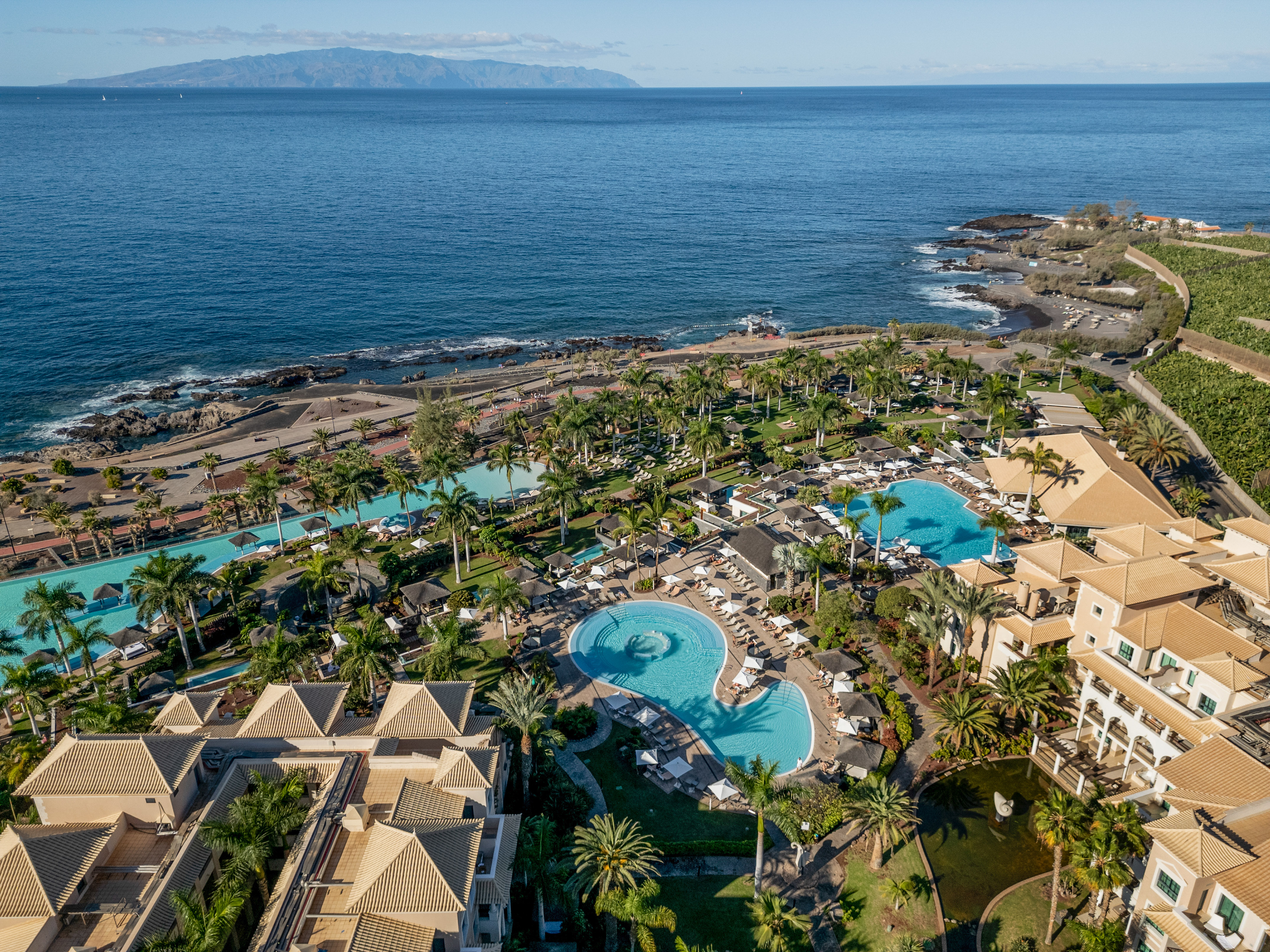 a resort with a pool and palm trees by the ocean