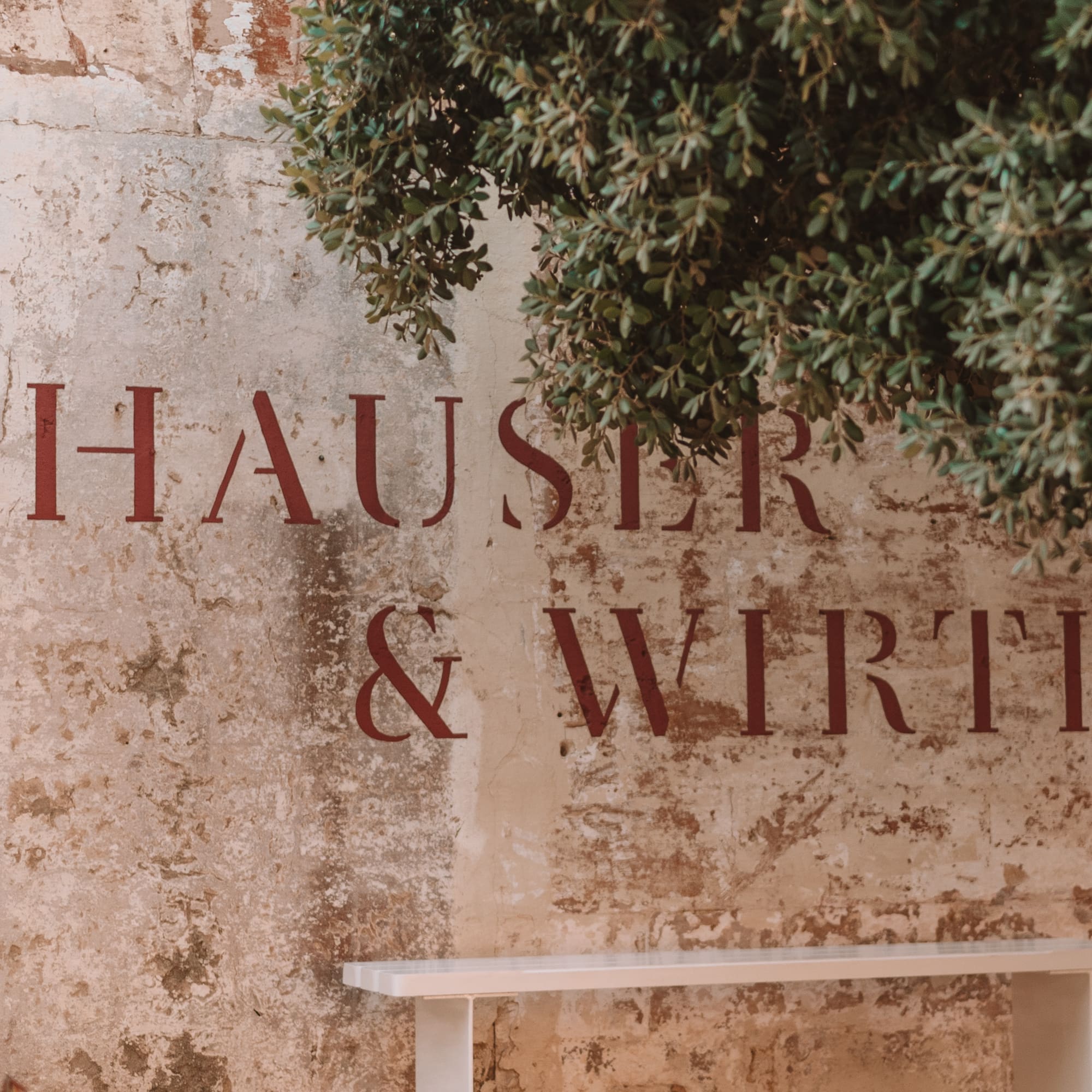 a wall with a sign and a tree