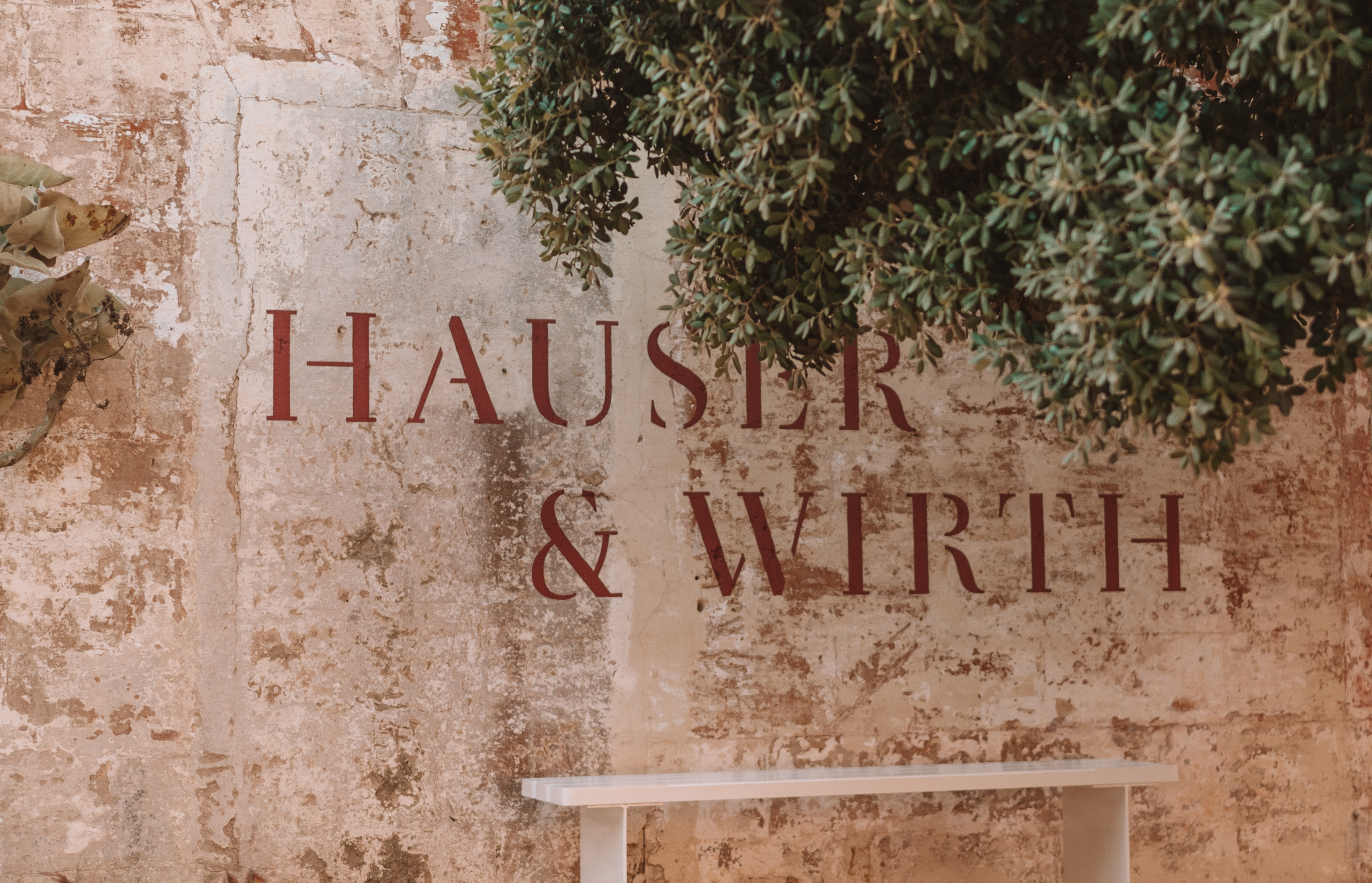 a wall with a sign and a tree