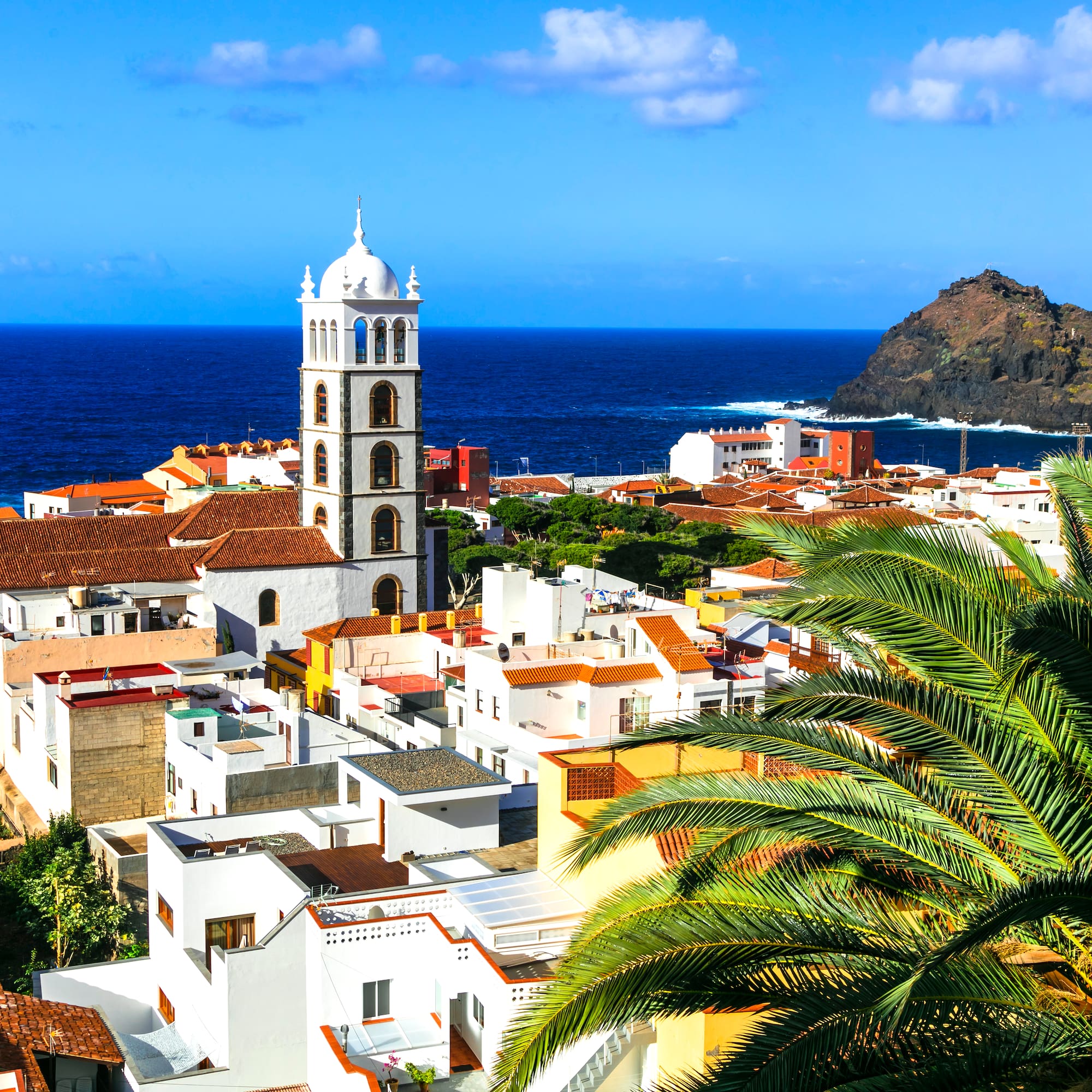 a white building with a tower and a palm tree next to the water
