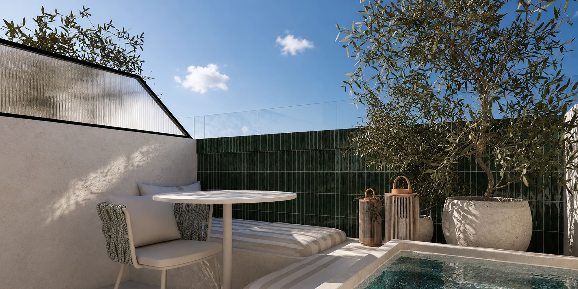 Terraza moderna con piscina, olivo en maceta, zona de estar y pared verde.