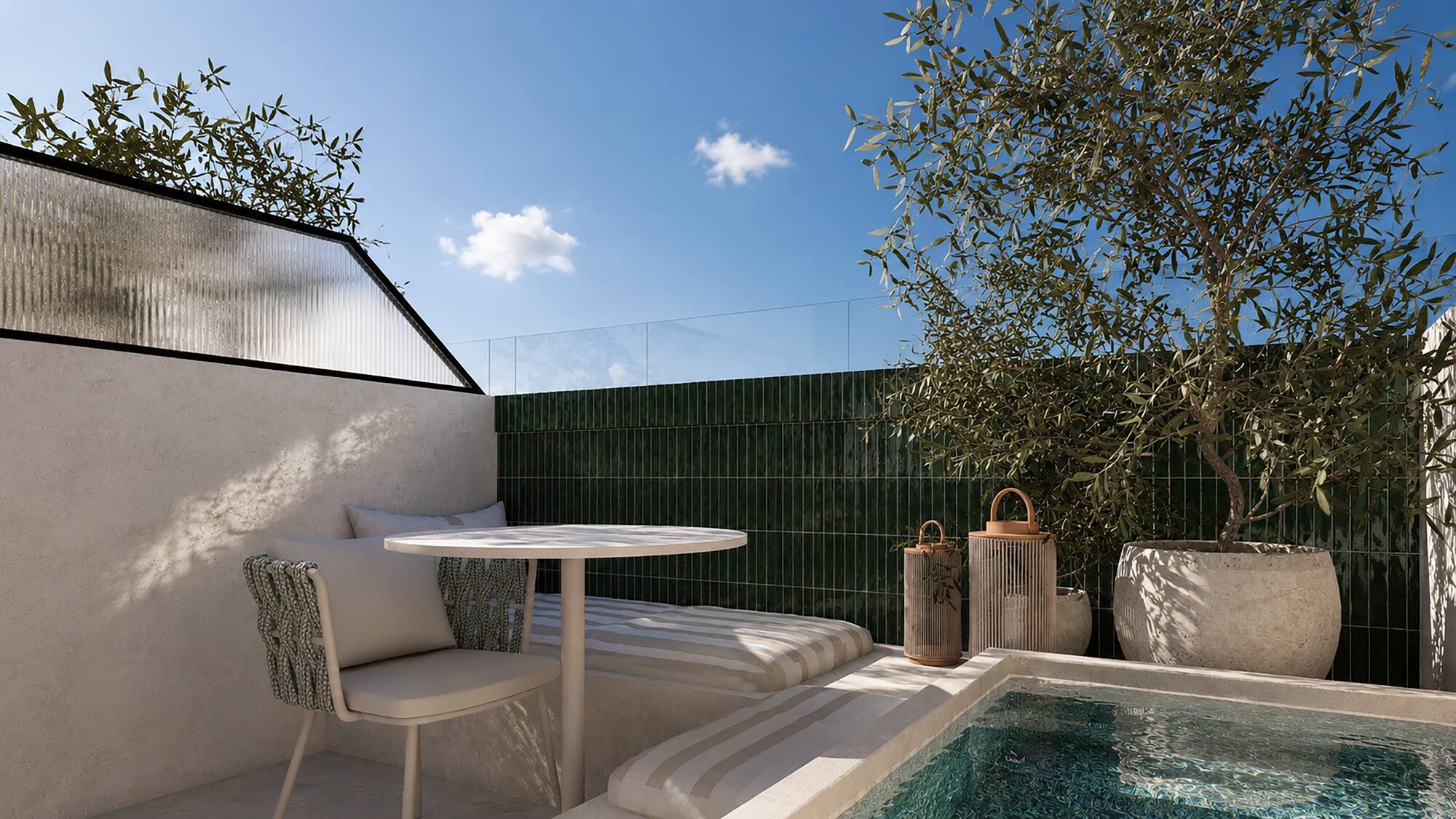 Terraza moderna con piscina, olivo en maceta, zona de estar y pared verde.