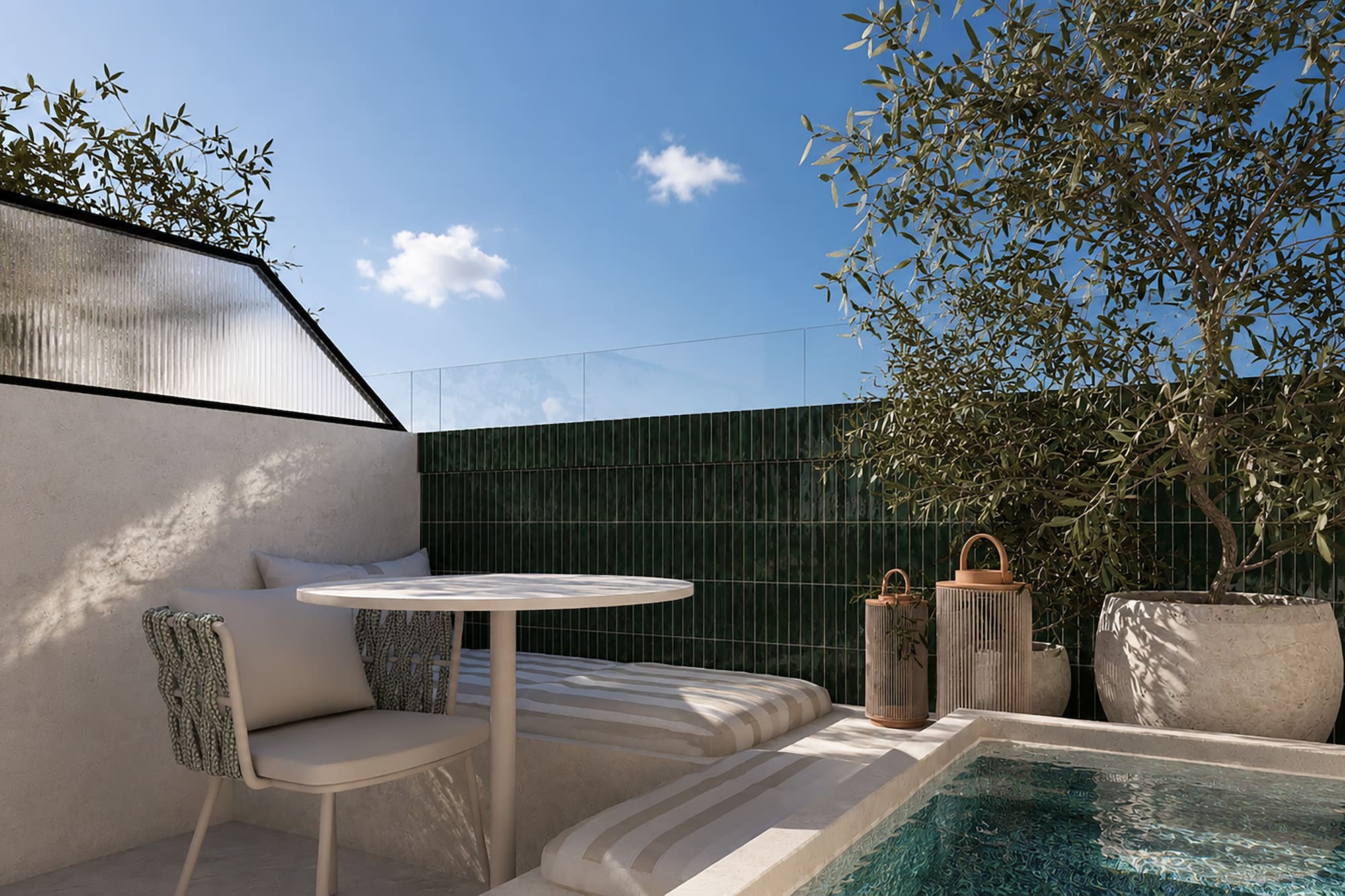 Terraza moderna con piscina, olivo en maceta, zona de estar y pared verde.