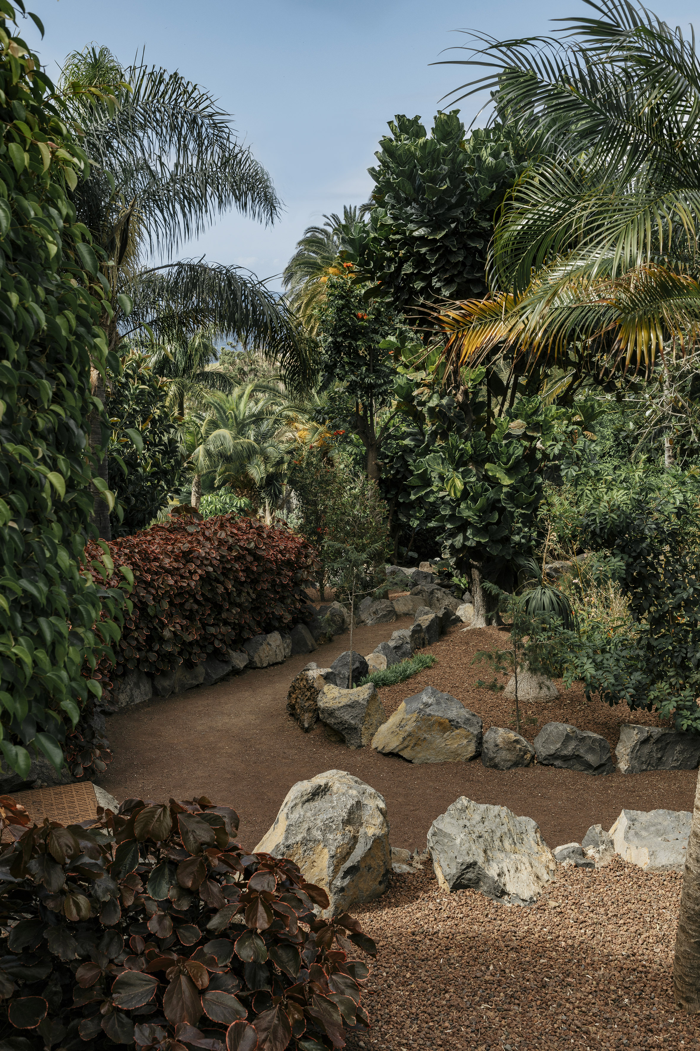 Winding gravel path in a lush botanical garden with palm trees and rocks.